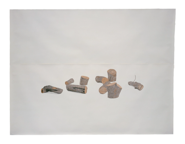 Toba Khedoori — Untitled (Logs)