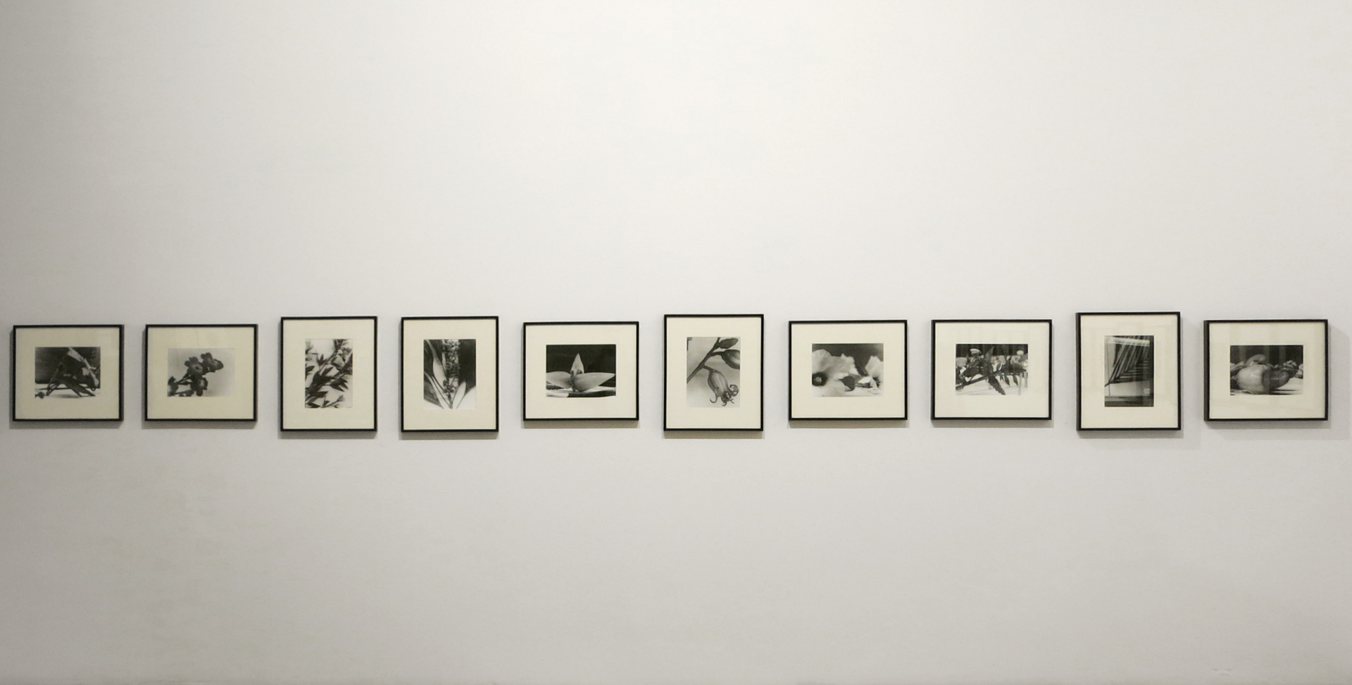 An installation view of the exhibition Christopher Williams, at David Zwirner New York, dated 2002.