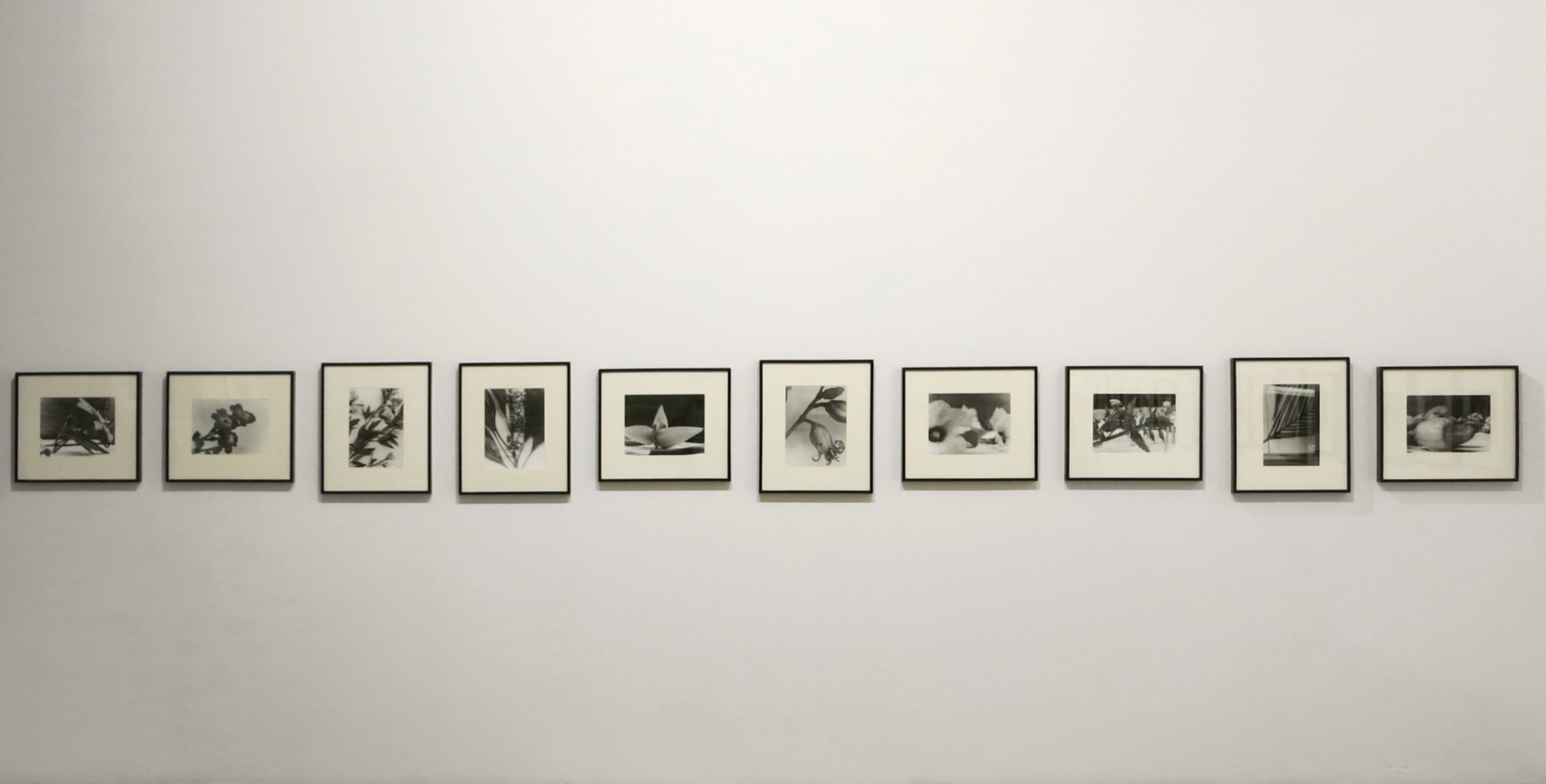 An installation view of the exhibition Christopher Williams, at David Zwirner New York, dated 2002.