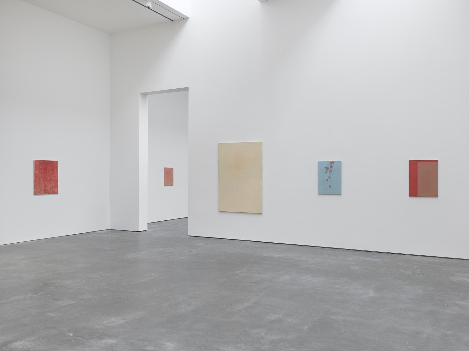 An installation view featuring woks by Raoul De Keyser, dated 2016