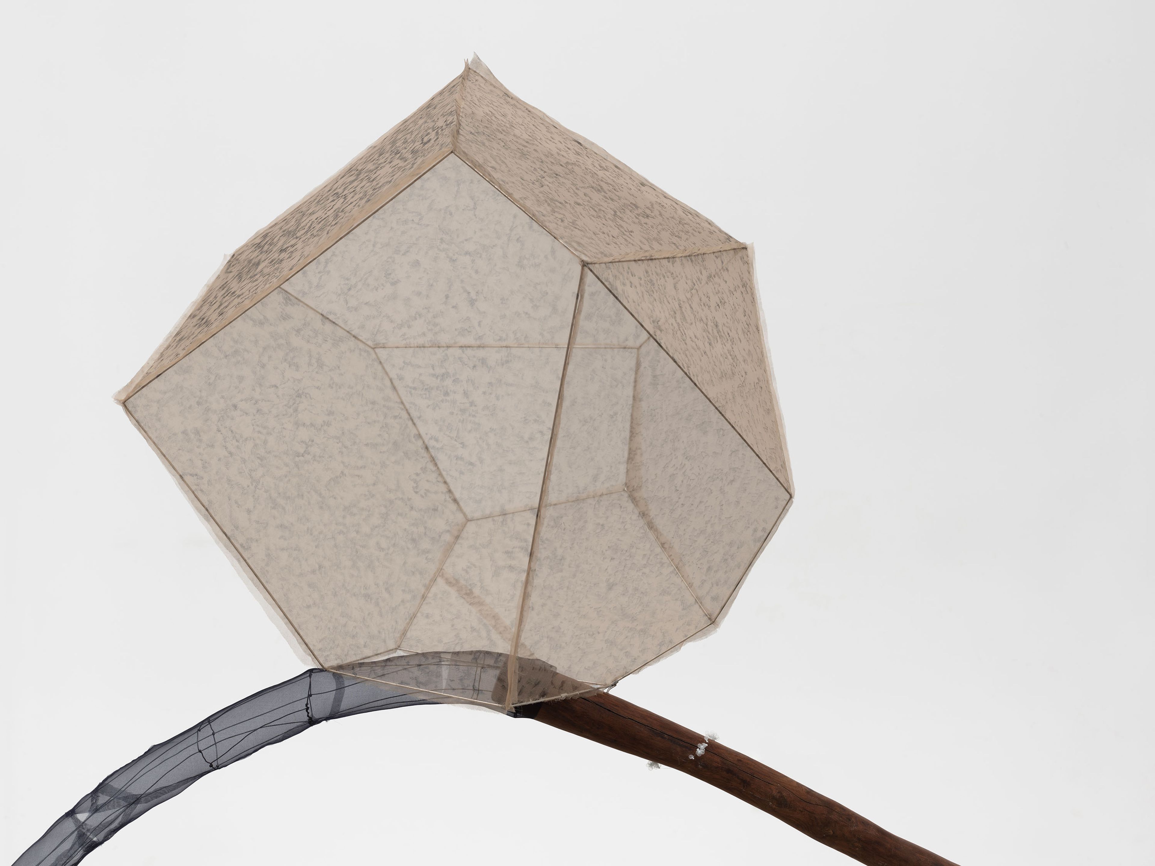 A detail from a sculpture by Hu Xiaoyuan, titled Carpel III, dated 2025.