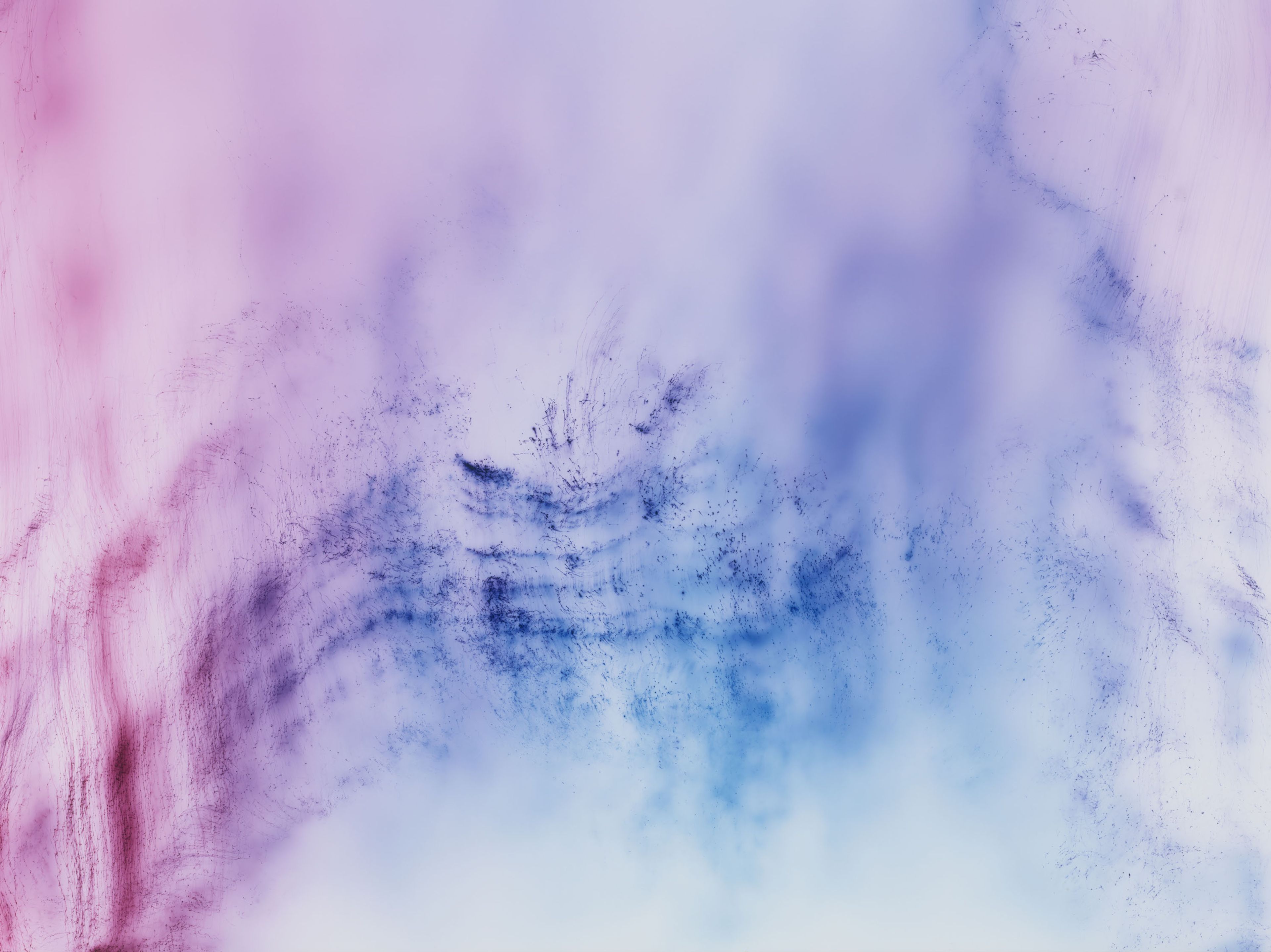 A photograph by Wolfgang Tillmans, titled Freischwimmer 236, dated 2017.