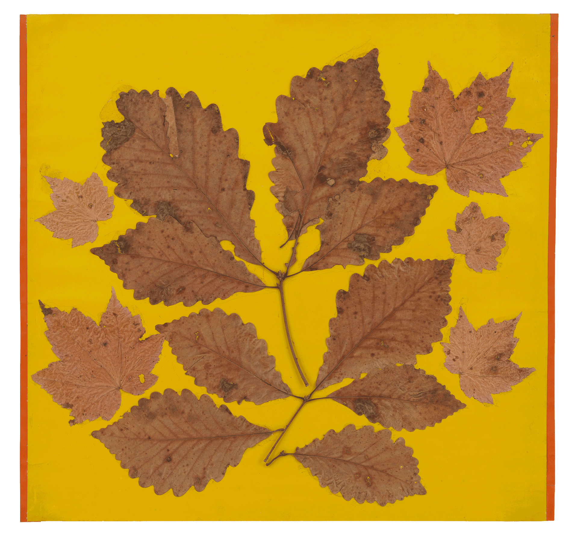 A collage by Josef Albers, titled Leaf Study III, dated circa 1940.