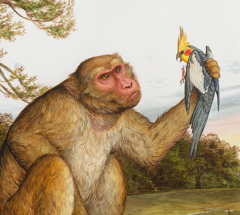 A detail from a painting by Walton Ford, titled Perfect in My Memory: Du Pain au Lait pour le Perroquet Mignonne, dated 2011.