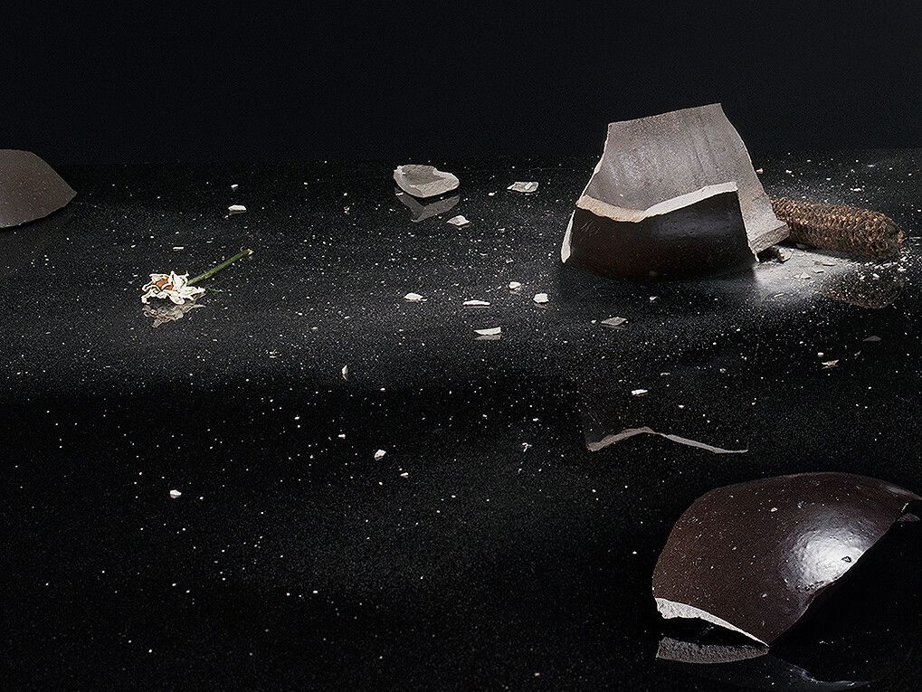 A detail of a photograph by Sharon Lockhart, titled Mike, dated 2021.