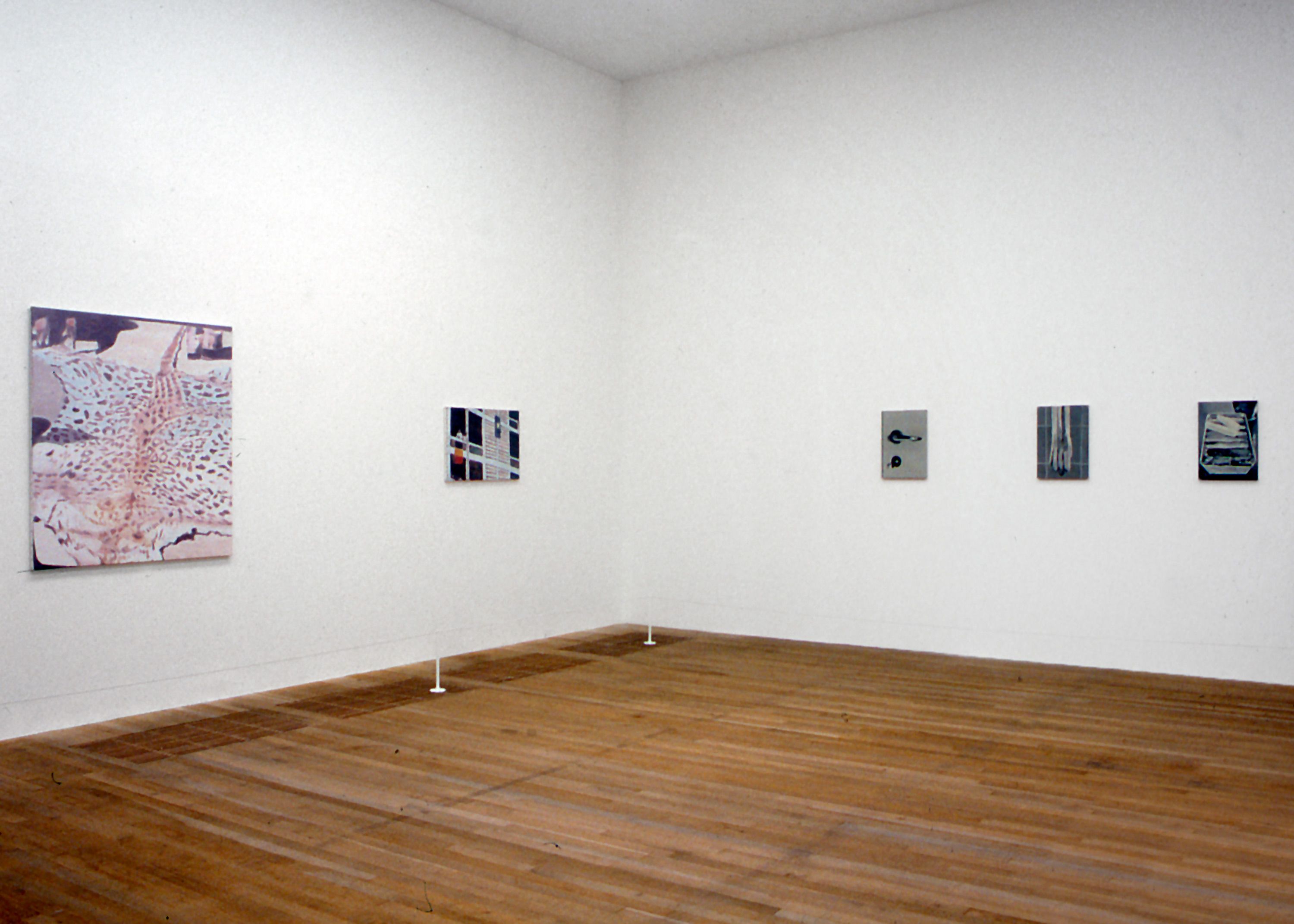 Installation view, Luc Tuymans, Tate Modern, London, 2004