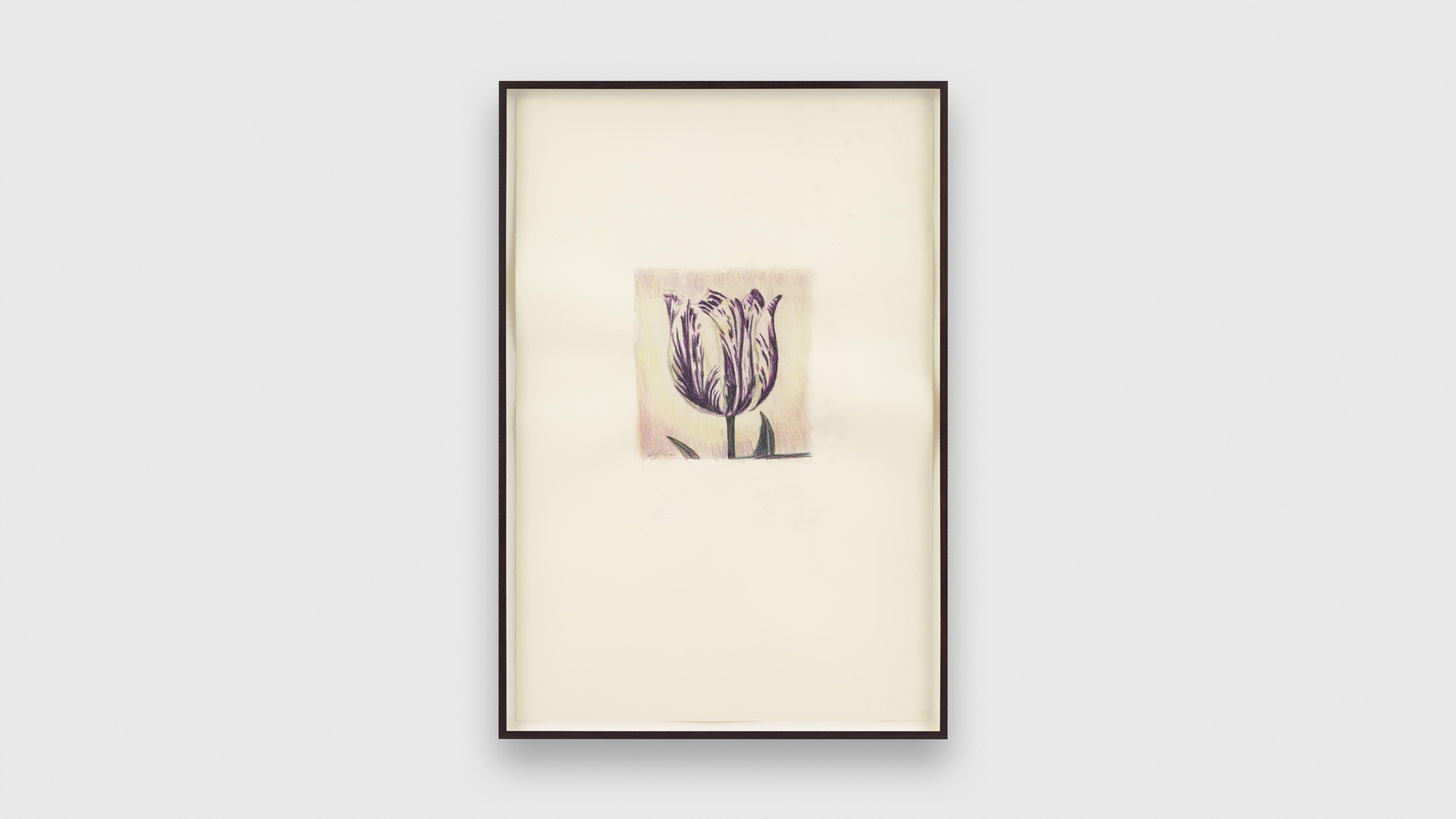 A colored pencil drawing on paper by Luc Tuymans, titled Tulip, dated 2020.