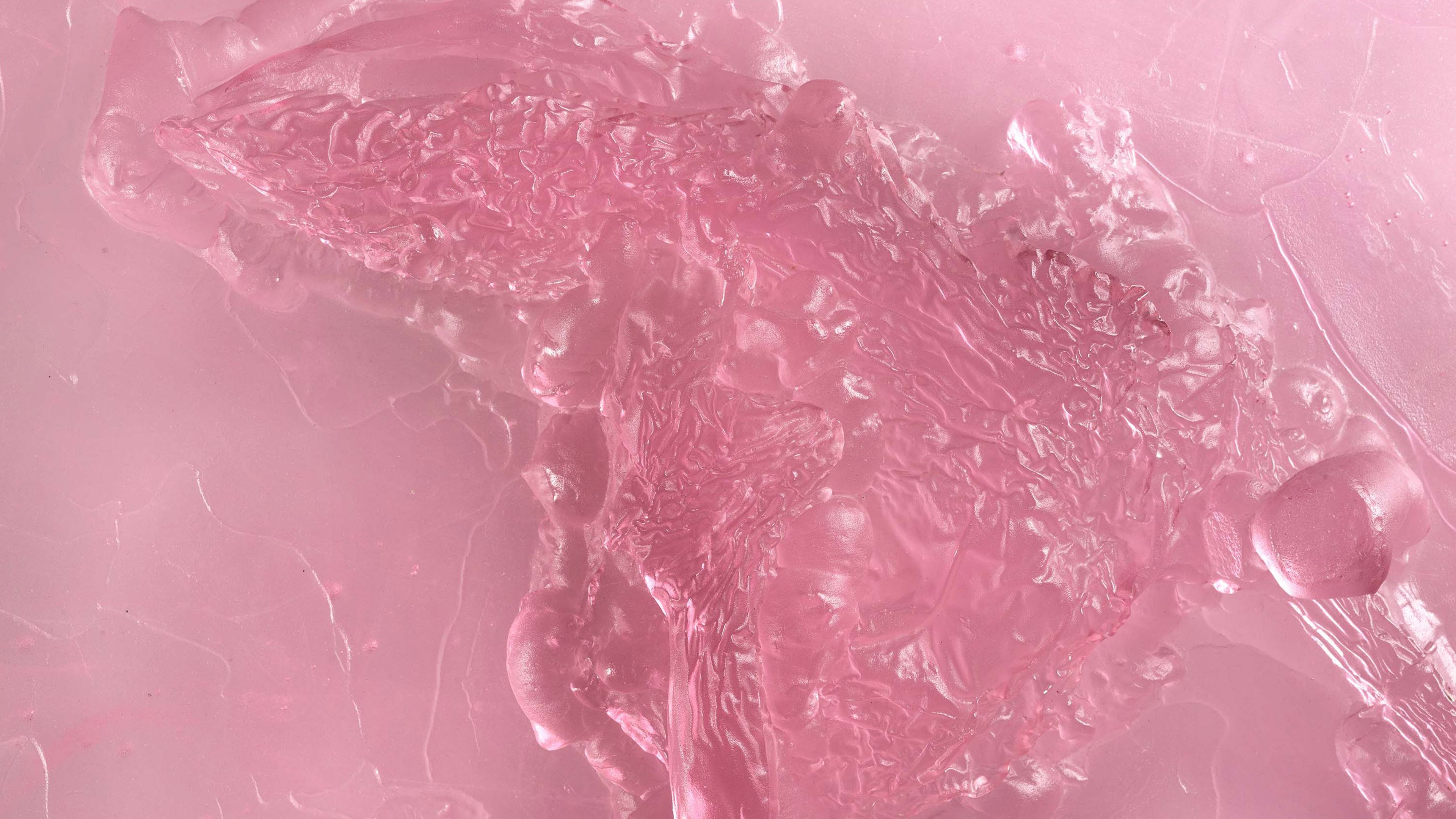 A detail from the work titled Private Dancer (Pink) by Andra Ursuţa dated 2025
