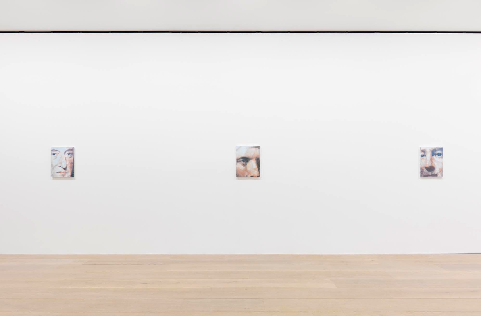 Installation view of the exhibition Luc Tuymans: The Shore, at David Zwirner in London, dated 2015.