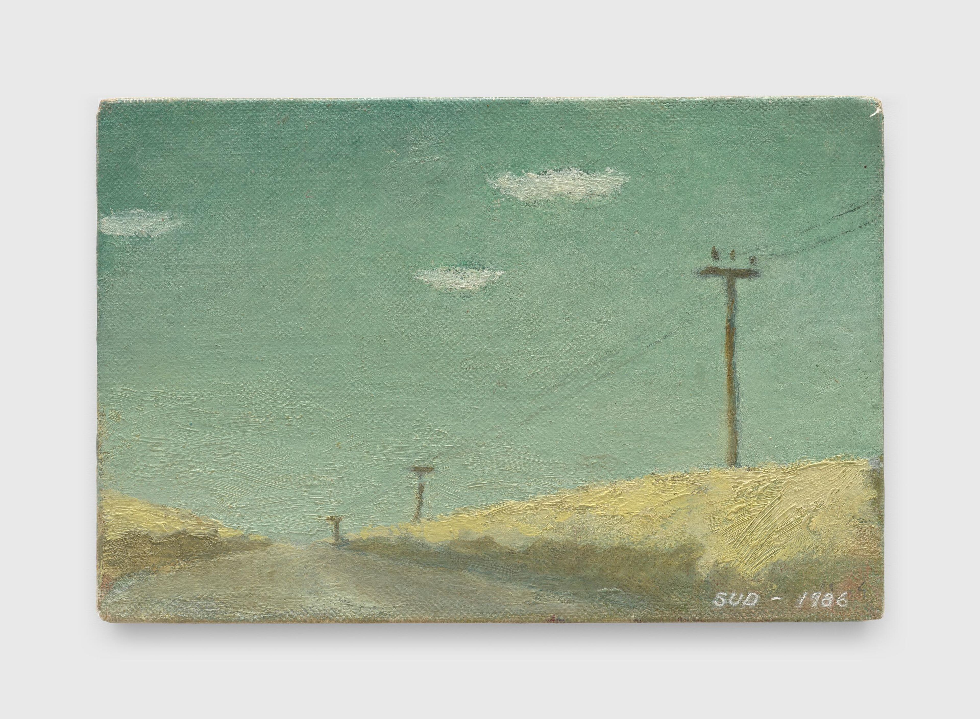 A painting by Francis Alys, titled Sud, dated 1986.