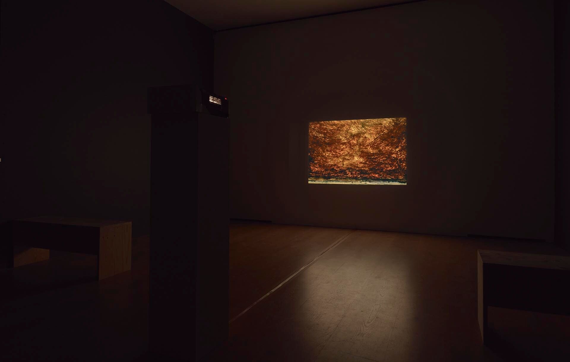 Installation view of the exhibition Lucas Arruda, at David Zwirner in London, dated 2017.