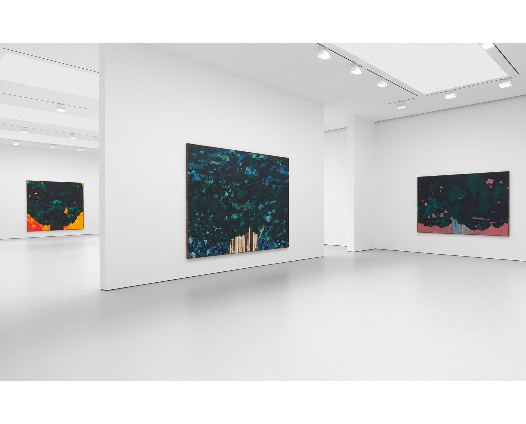 An installation view of the exhibition titled Harold Ancart: Traveling Light, at David Zwirner, New York, in 2020.