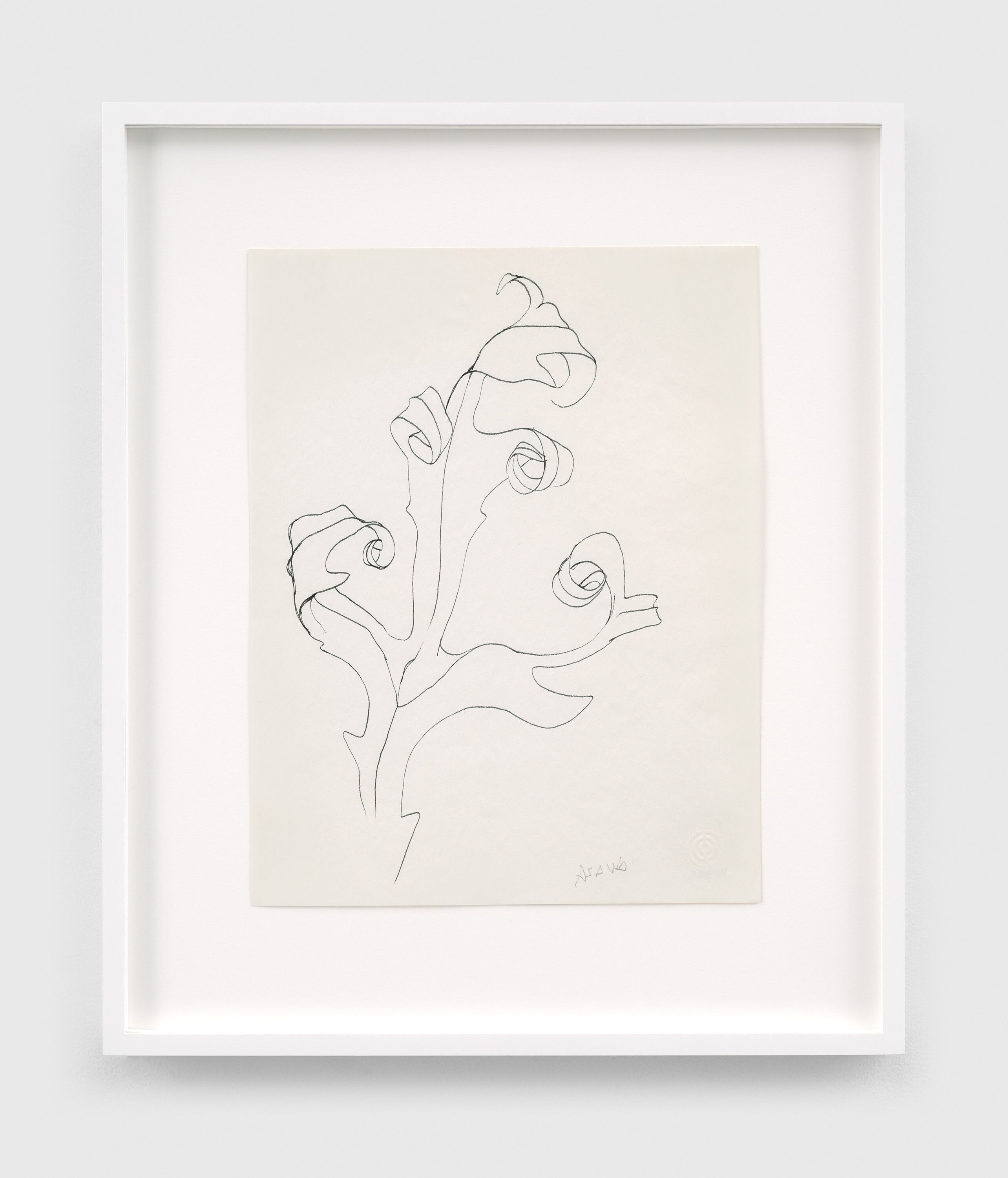 A pen and black ink on paper artwork by Ruth Asawa, Untitled (PF.325, Leaf 2), n.d.