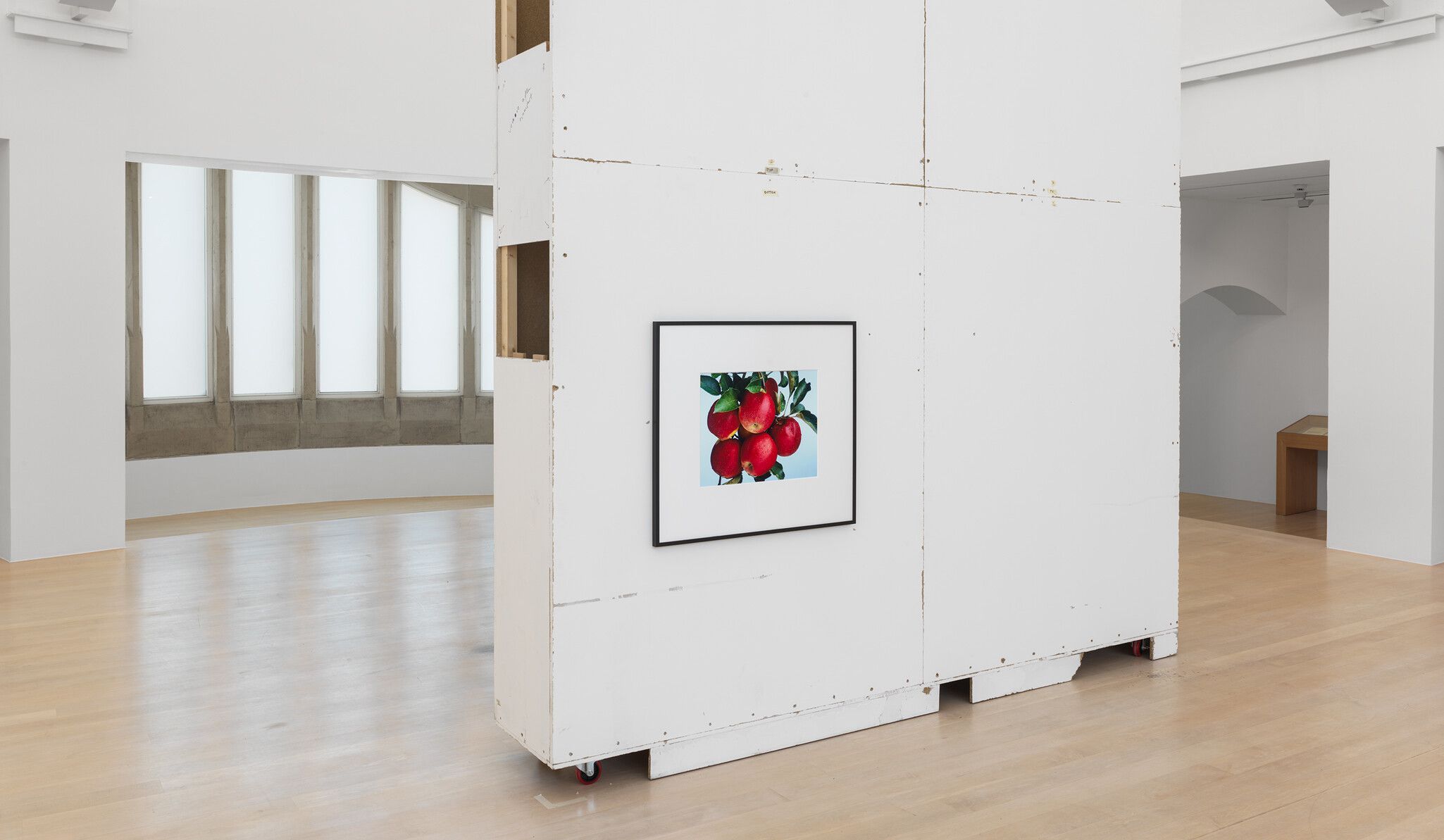 Installation view of the exhibition, Christopher Williams: Normative Models, Kestner Gesellschaft, Hanover. Photo by Maris Hutchinson
