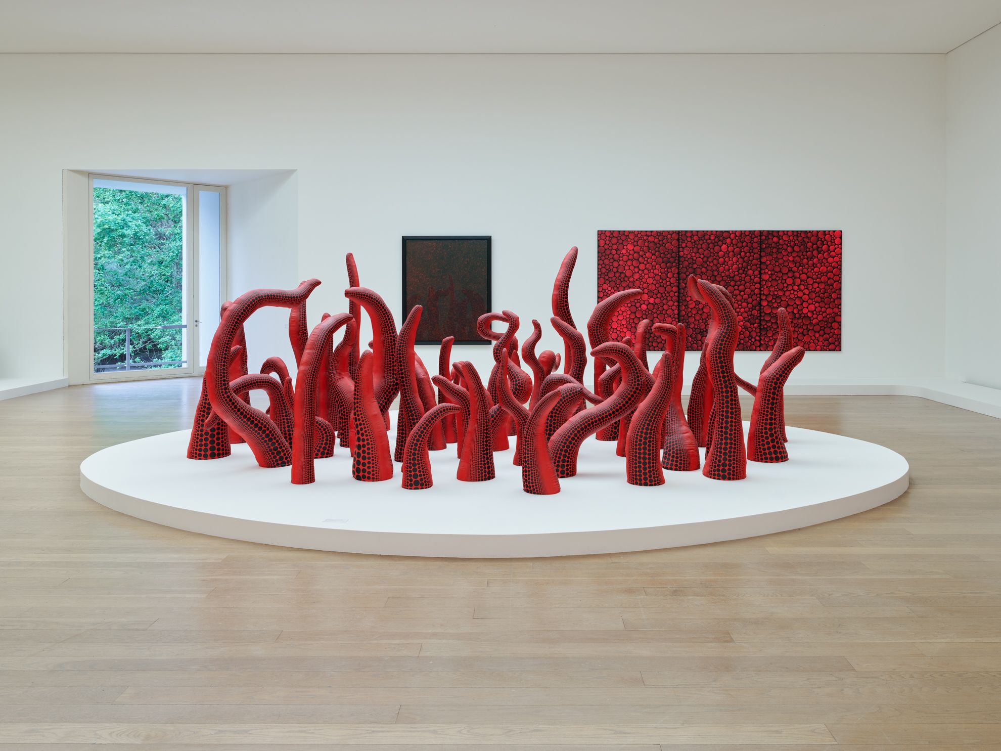 Yayoi Kusama - News | David Zwirner