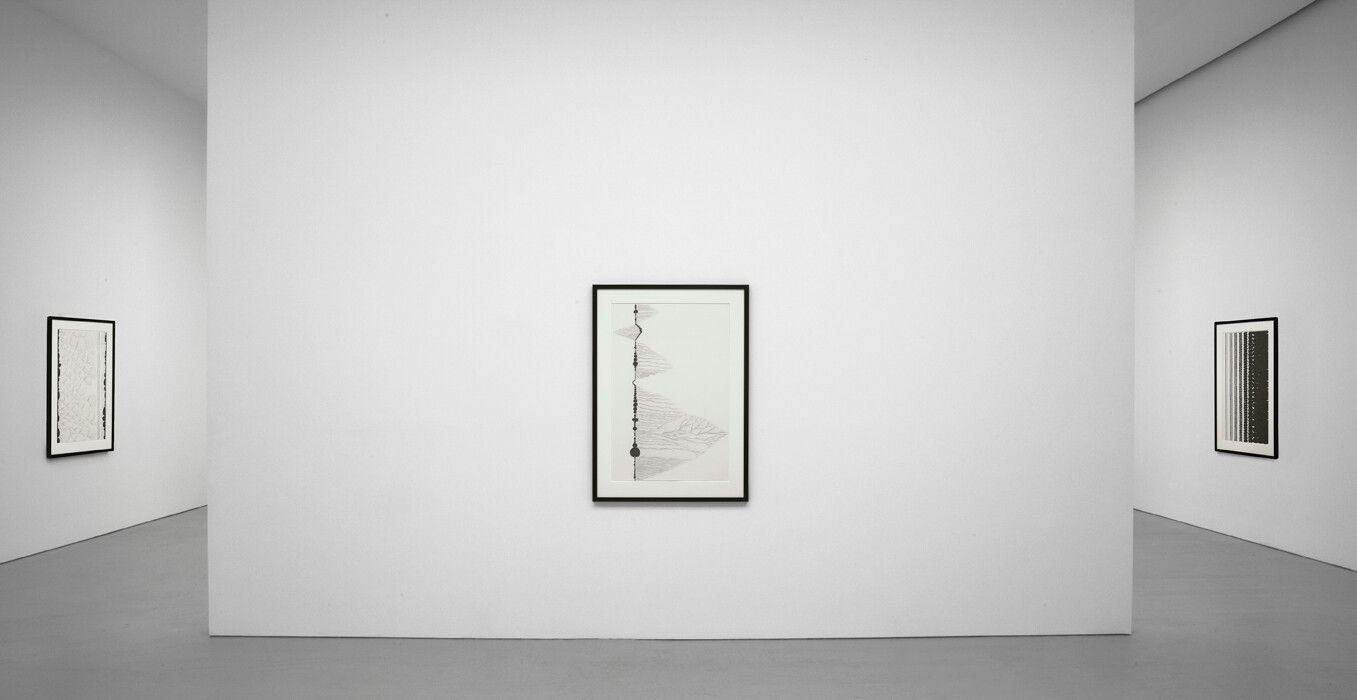Installation view of the exhibition Chris Ofili: Afro Margin, at David Zwirner in New York, dated 2009.