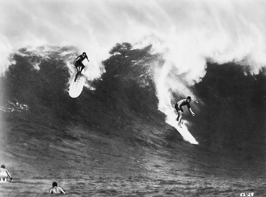 A still from the film Endless Summer