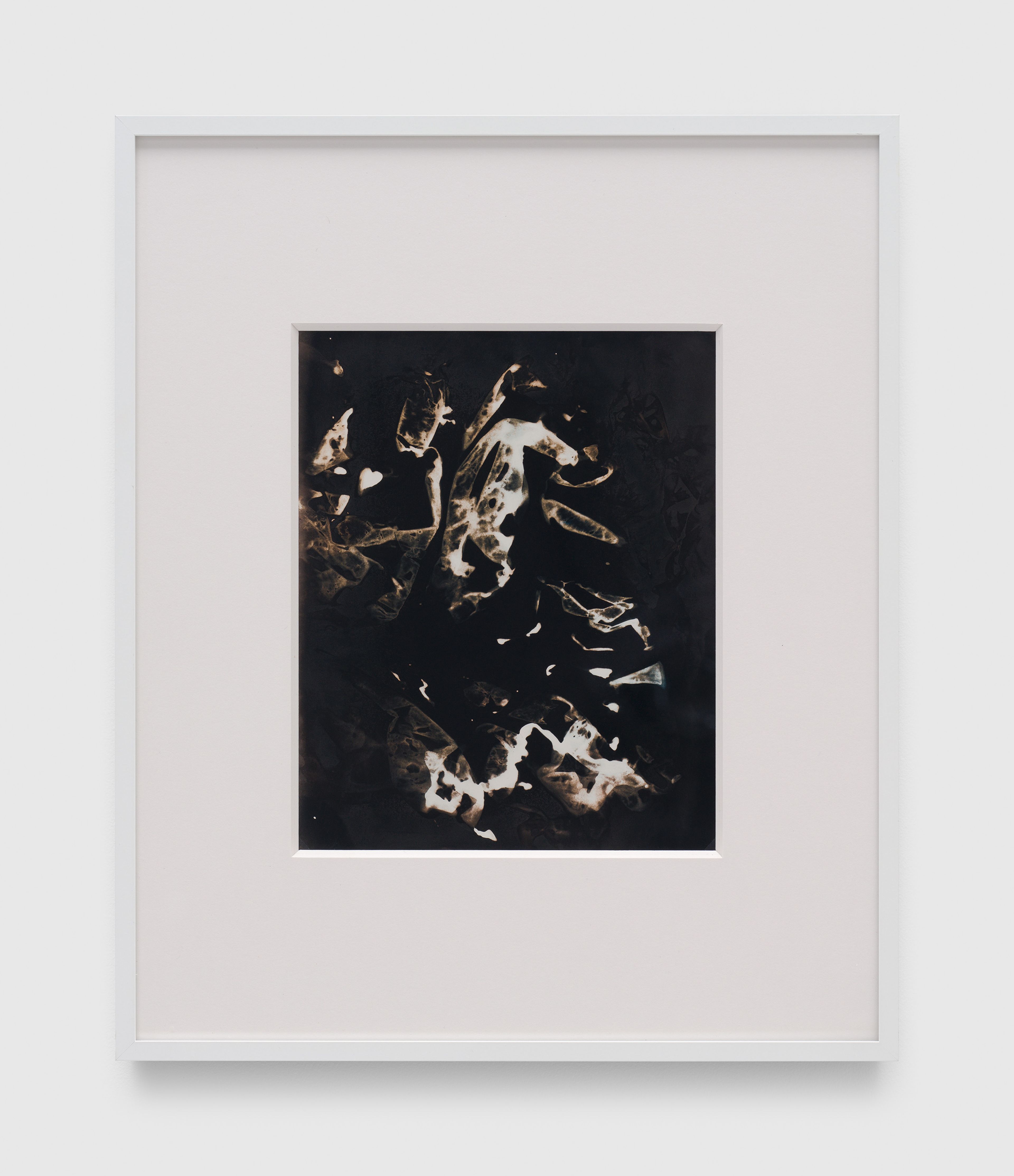 A photograph by James Welling, titled June 29, dated 2017.