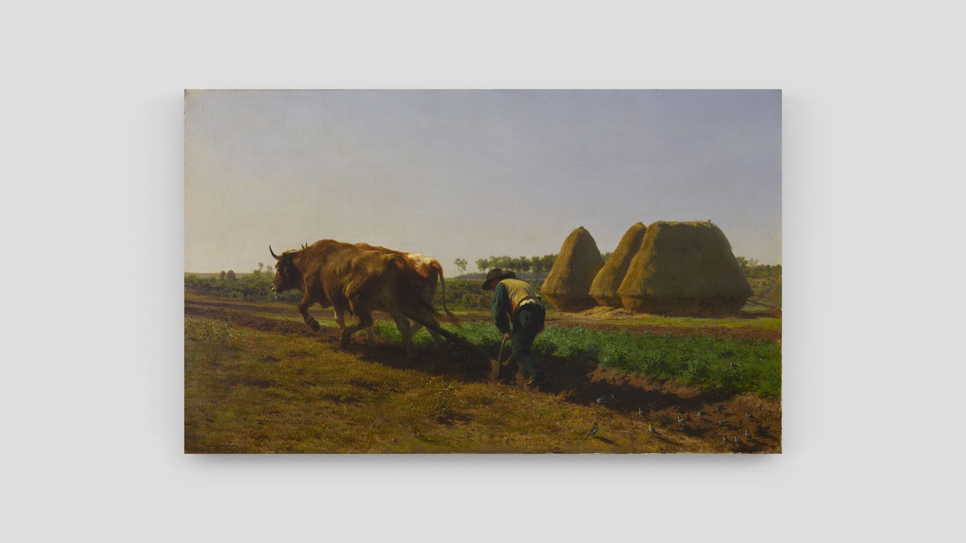 A painting by Rosa Bonheur, titled Ploughing Scene, dated 1854. 