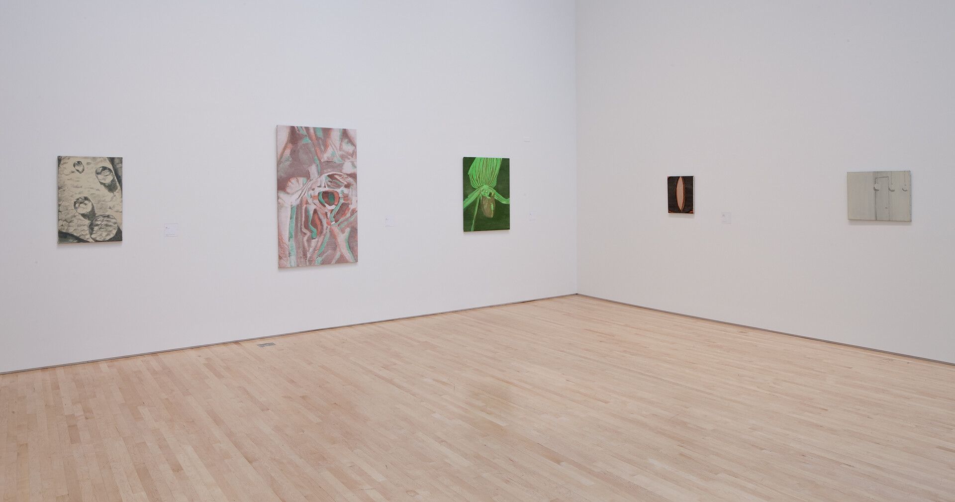An installation view of an exhibition titled Luc Tuymans at San Francisco Museum of Modern Art in 2010.