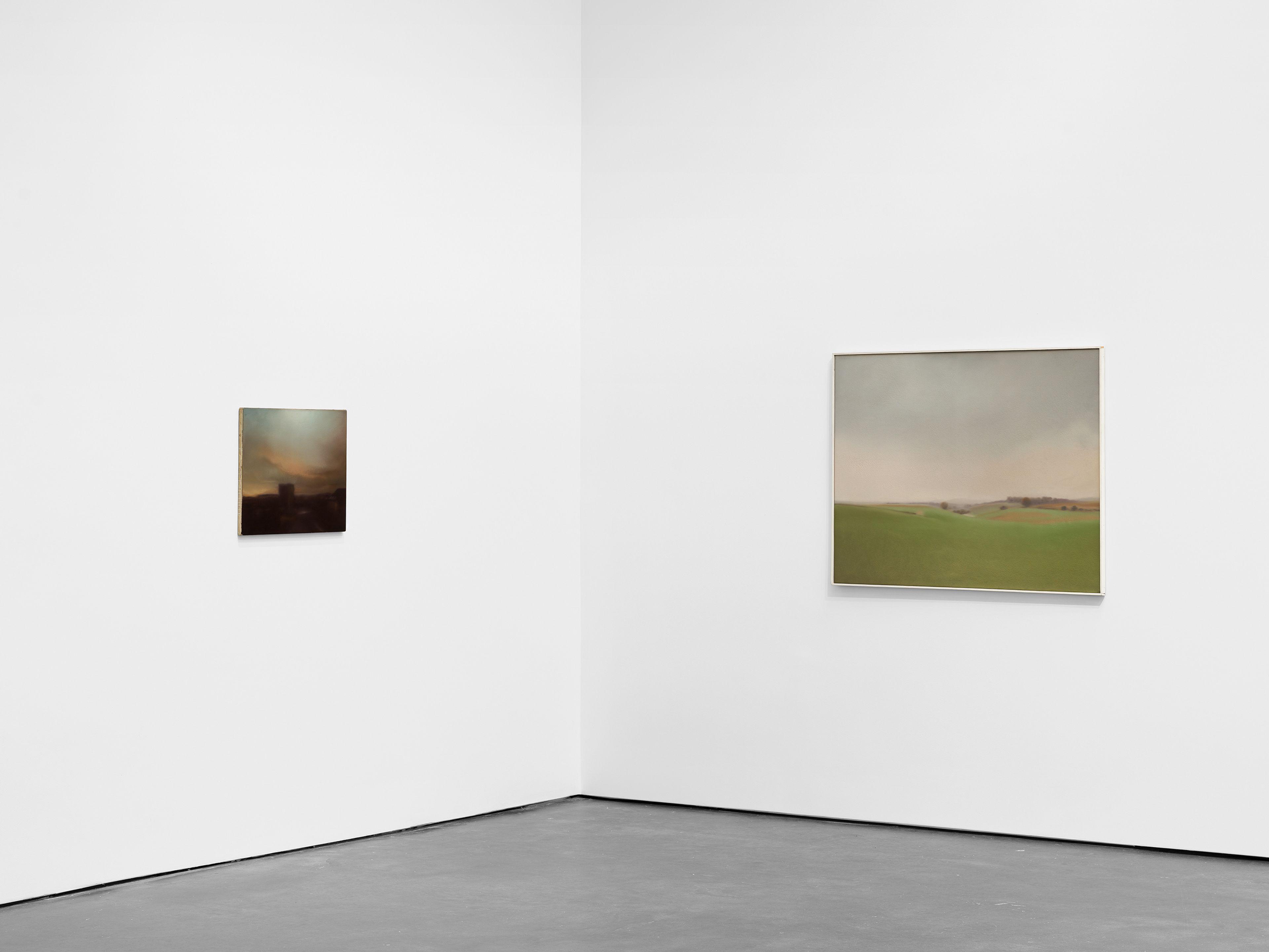 An installation view of the exhibition, Gerhard Richter: Landschaften, at David Zwirner in New York, dated 2026.