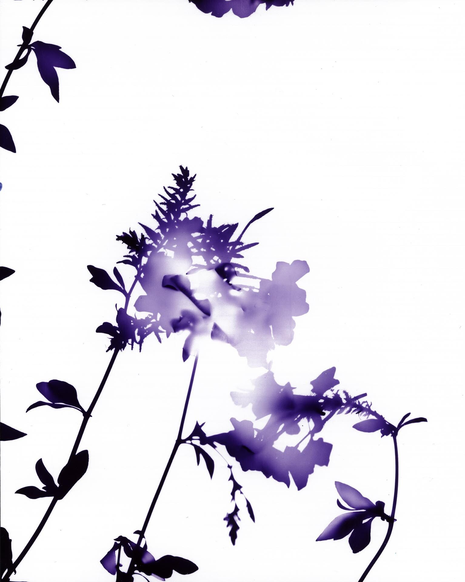 A photograph by James Welling, titled #005, dated 2004.
