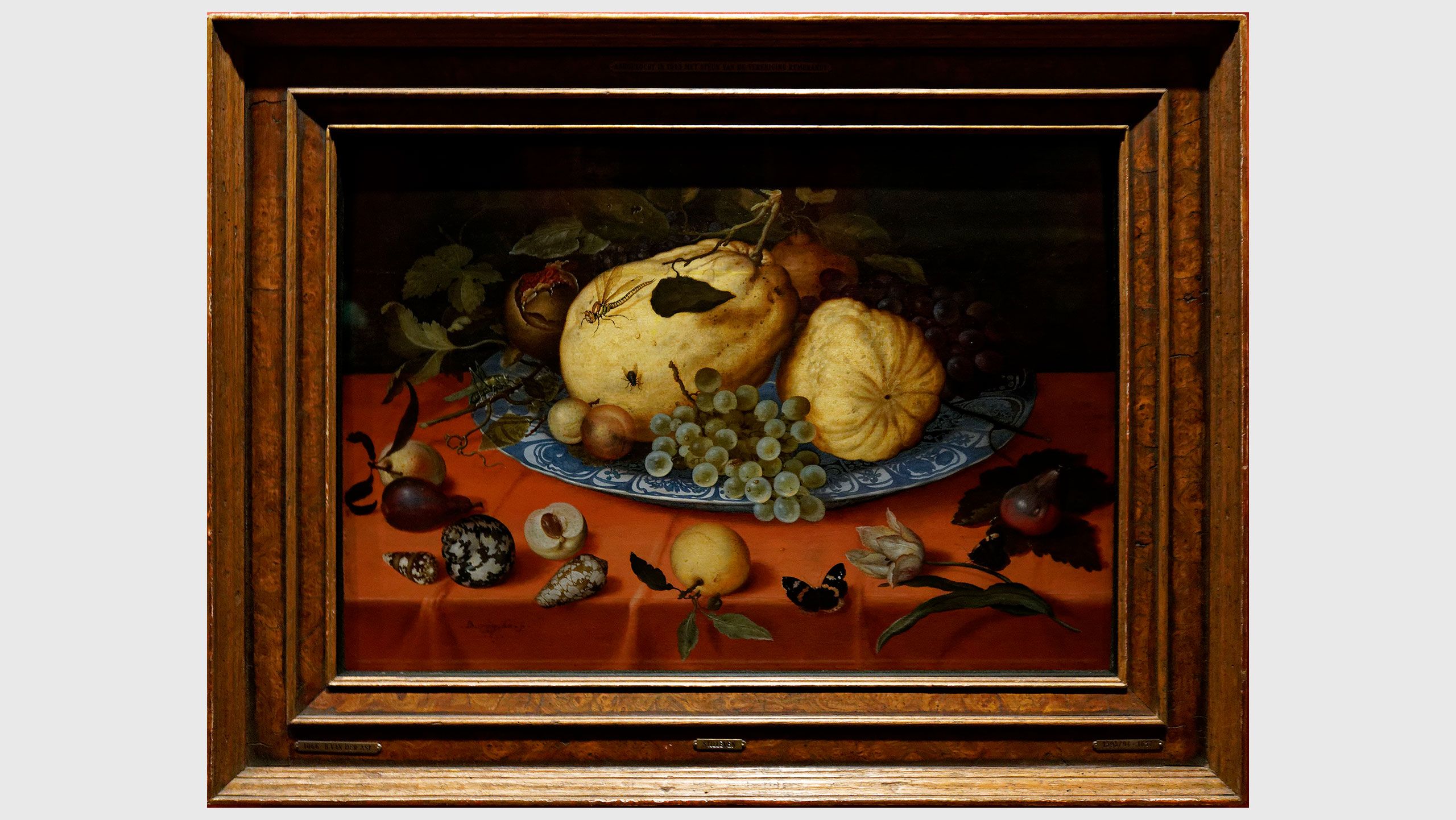 A painting by Balthasar van der Ast, titled Fruit Still Life with Shells and Tulip, dated 1620