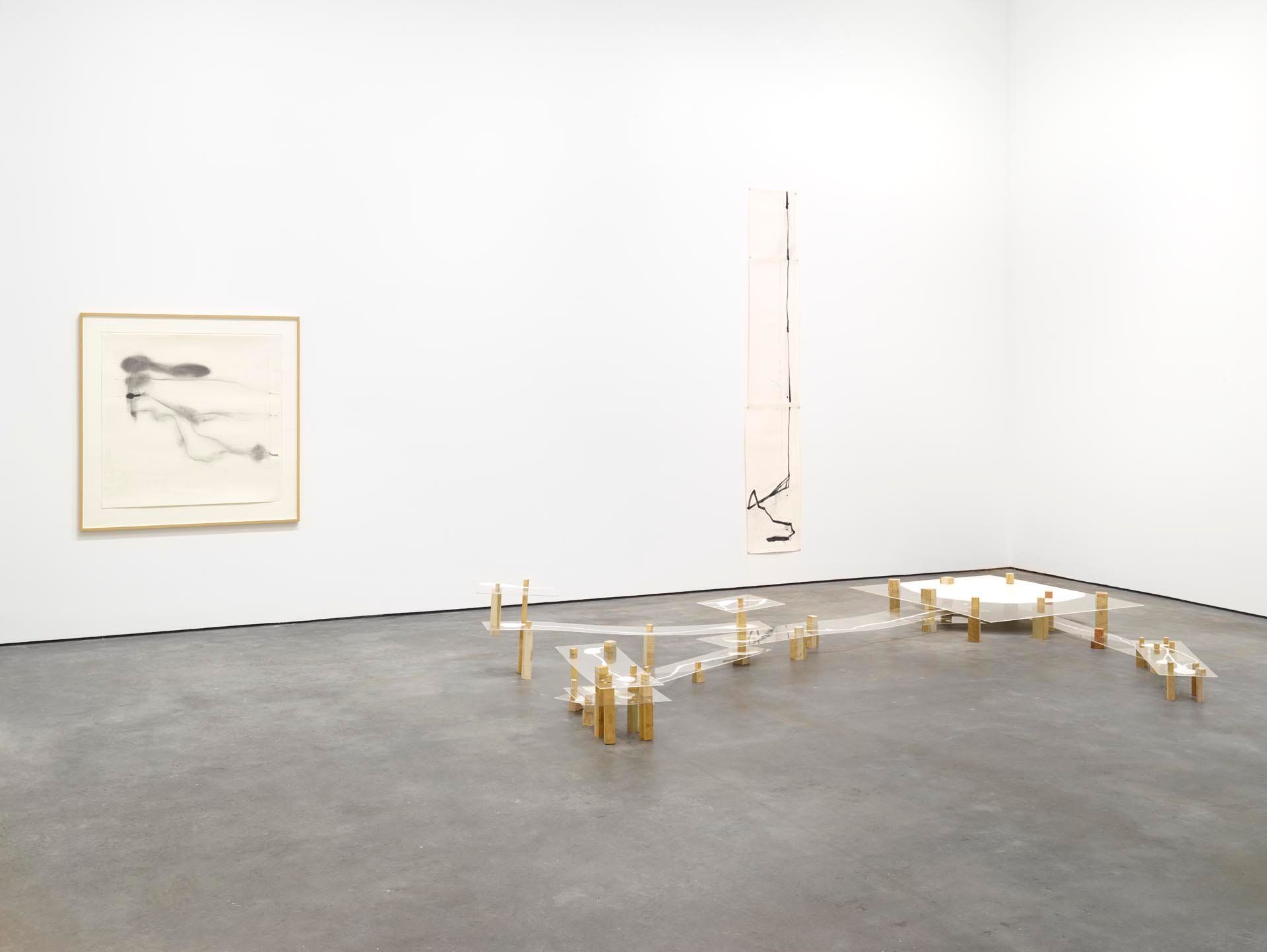 Installation view of the exhibition Al Taylor: Pet Stains, Puddles, and Full Gospel Neckless at David Zwirner in New York, dated 2015.
