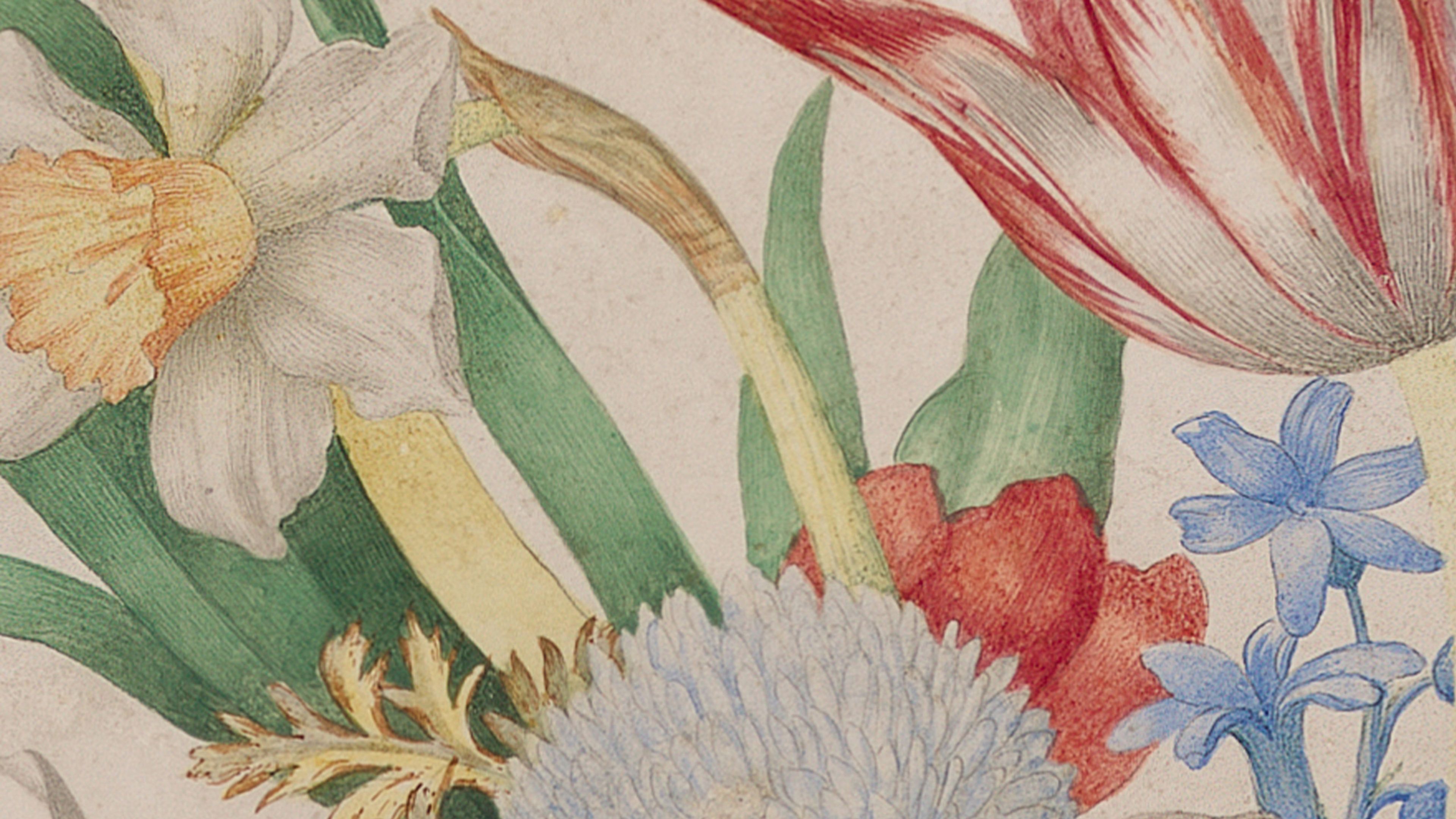 A detail from a painting by Giovanna Garzoni, titled Still life of flowers in a glass vase, dated circa 1640-1650.