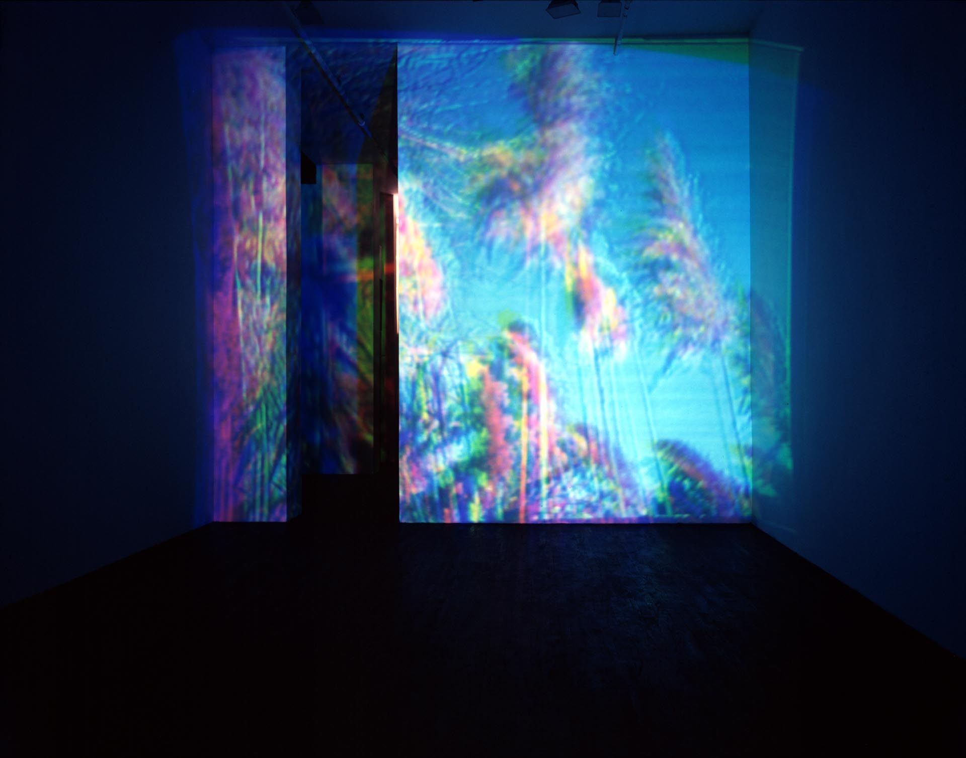 A video installation by Diana Thater, titled Late & Soon (Occident Trotting), dated 1993.