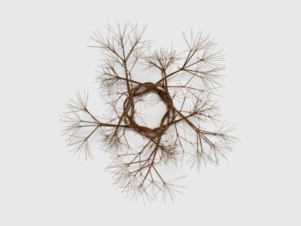 Ruth Asawa — Untitled (S.862, Wall-Mounted Tied-Wire, Open-Center, Five-Pointed Star with Five Branches)