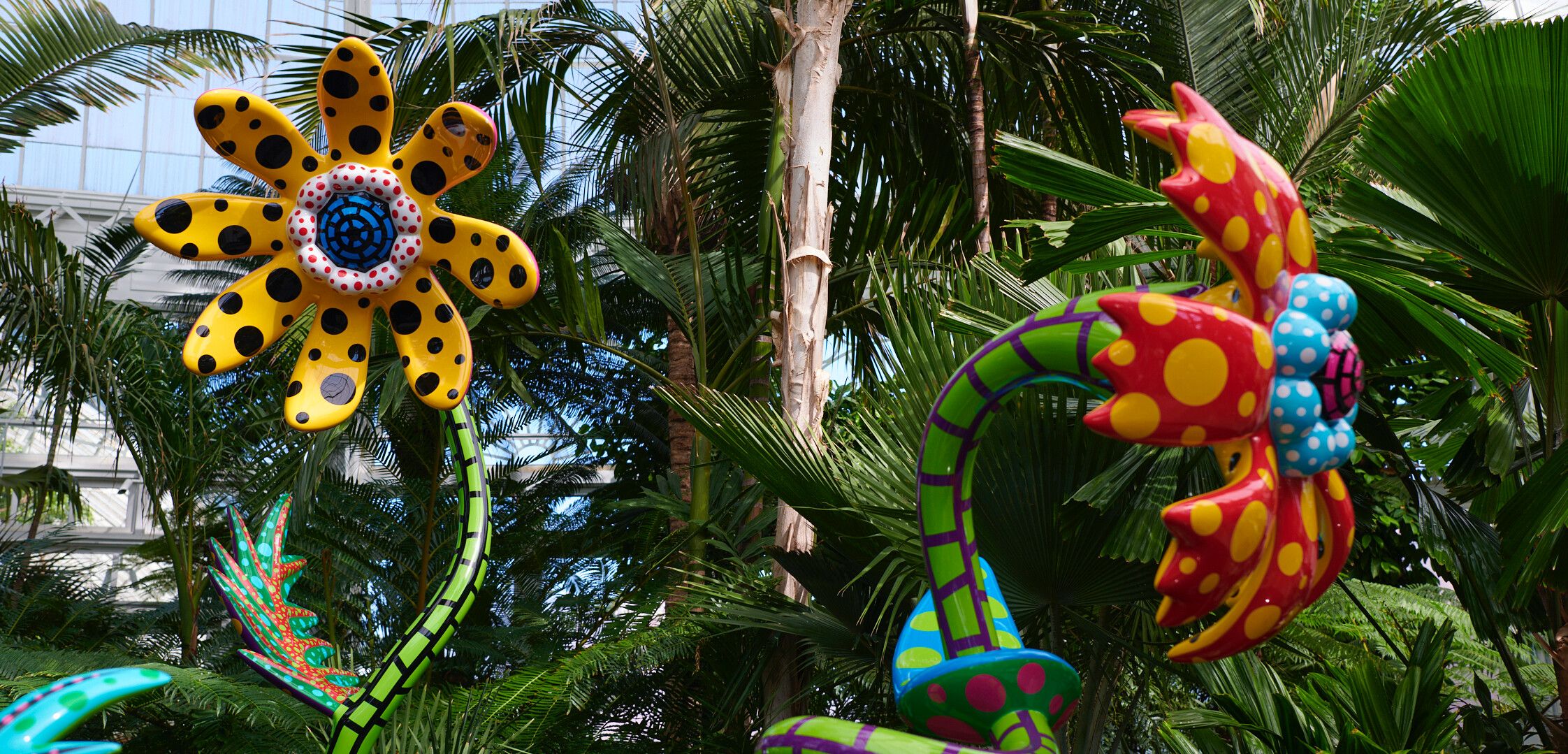 An installation view of an exhibition titled Kusama: Cosmic Nature at New York Botanical Garden in 2021.