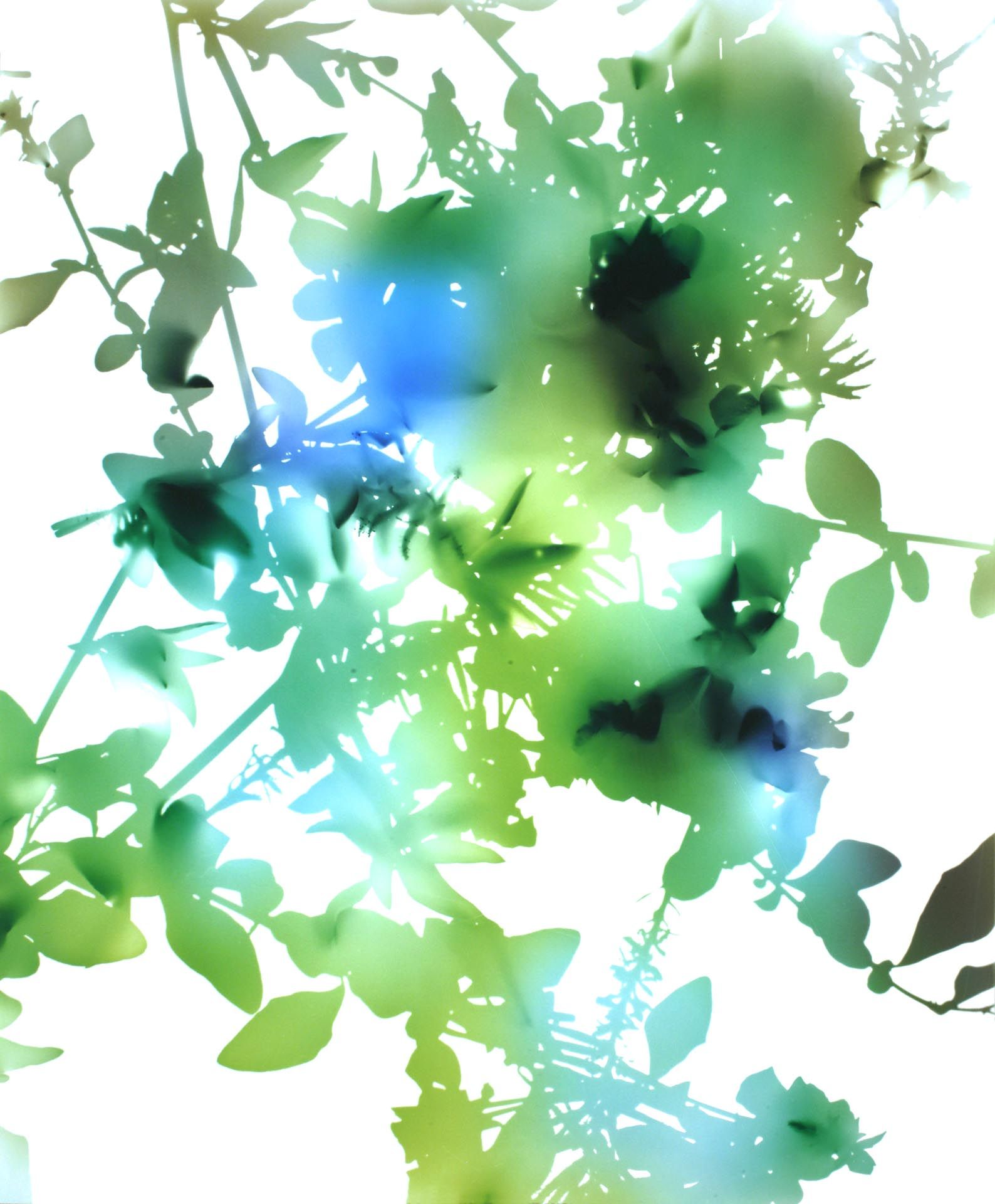 A photograph by James Welling, titled 024, dated 2006. 