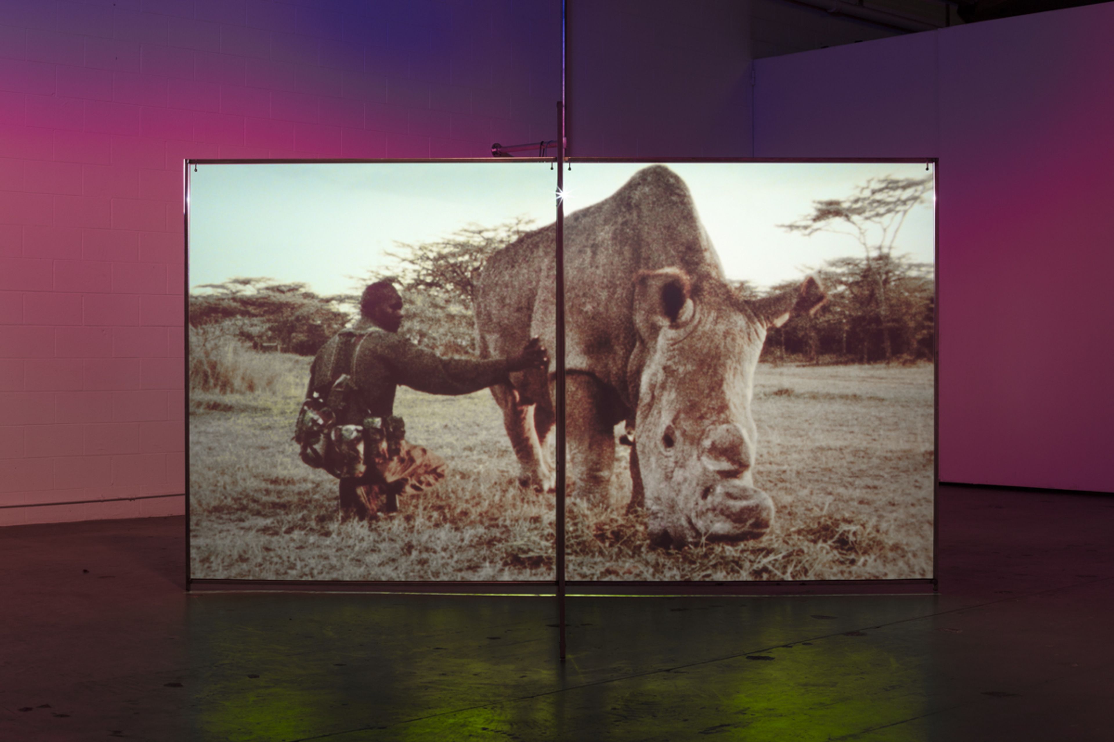 Installation view of A Runaway World at The Mistake Room in Los Angeles, dated 2017.