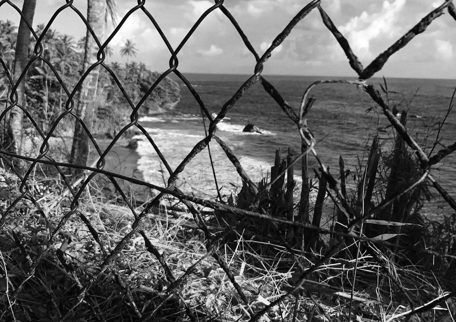 A photograph by Chris Ofili of the landscape in Trinidad.