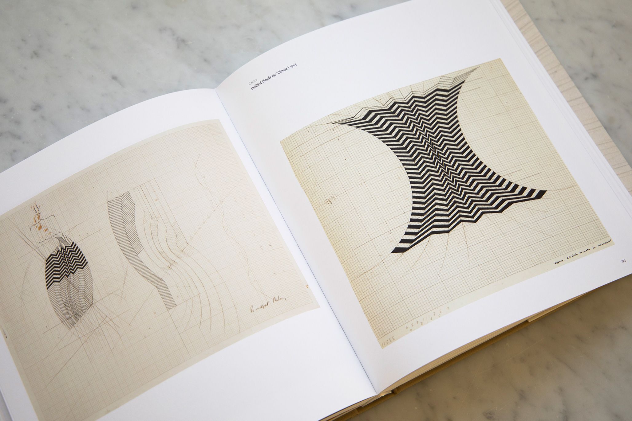 Bridget Riley: Working Drawings Book Launch DZL | David Zwirner