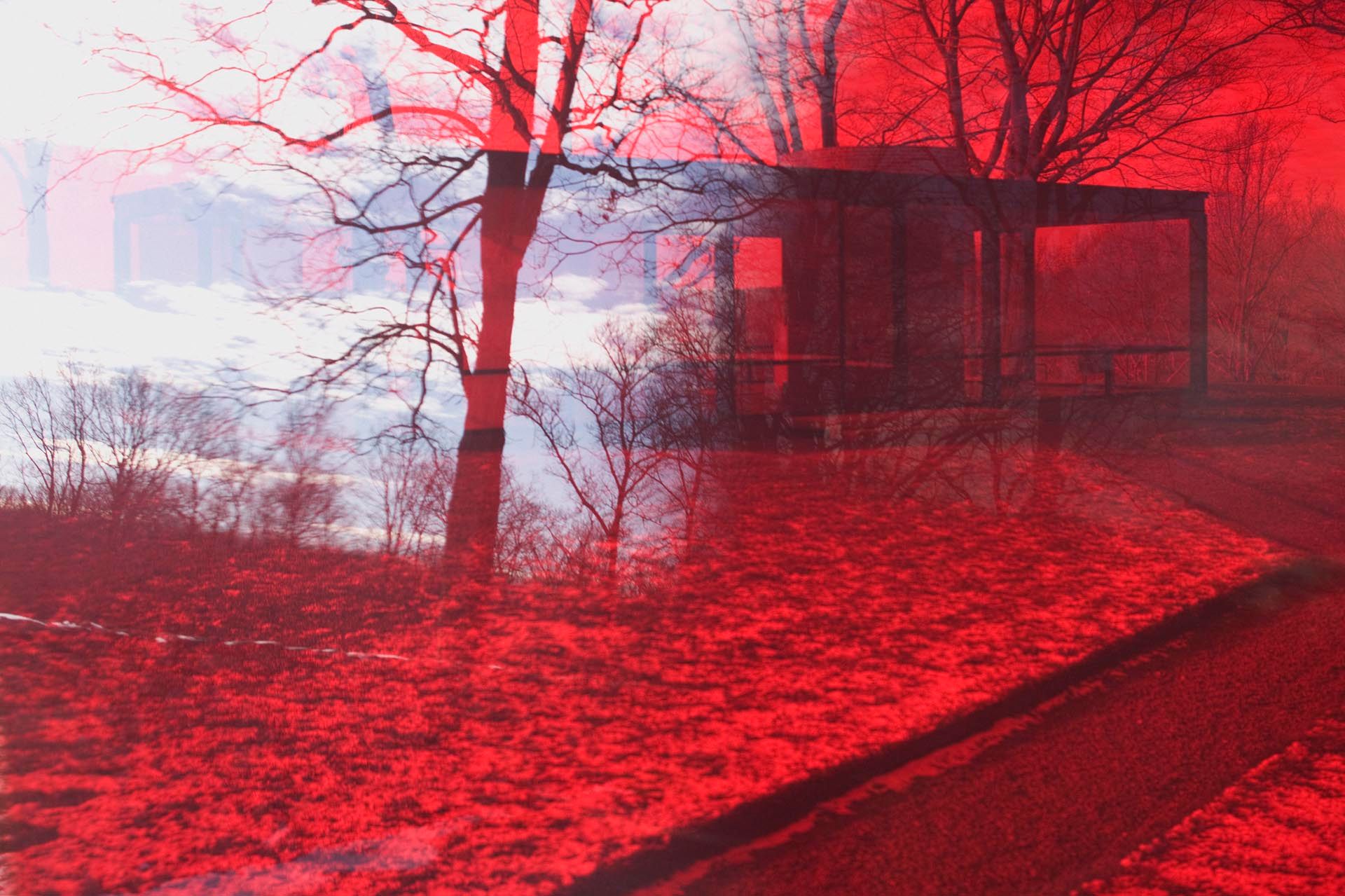 A photograph by James Welling, titled 8067, dated 2008.