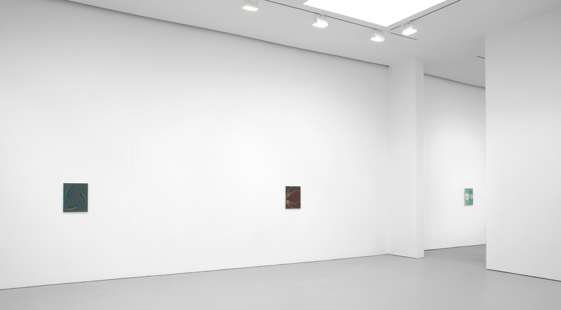 Installation view of the exhibition Tomma Abts, at David Zwirner in New York, dated 2008.