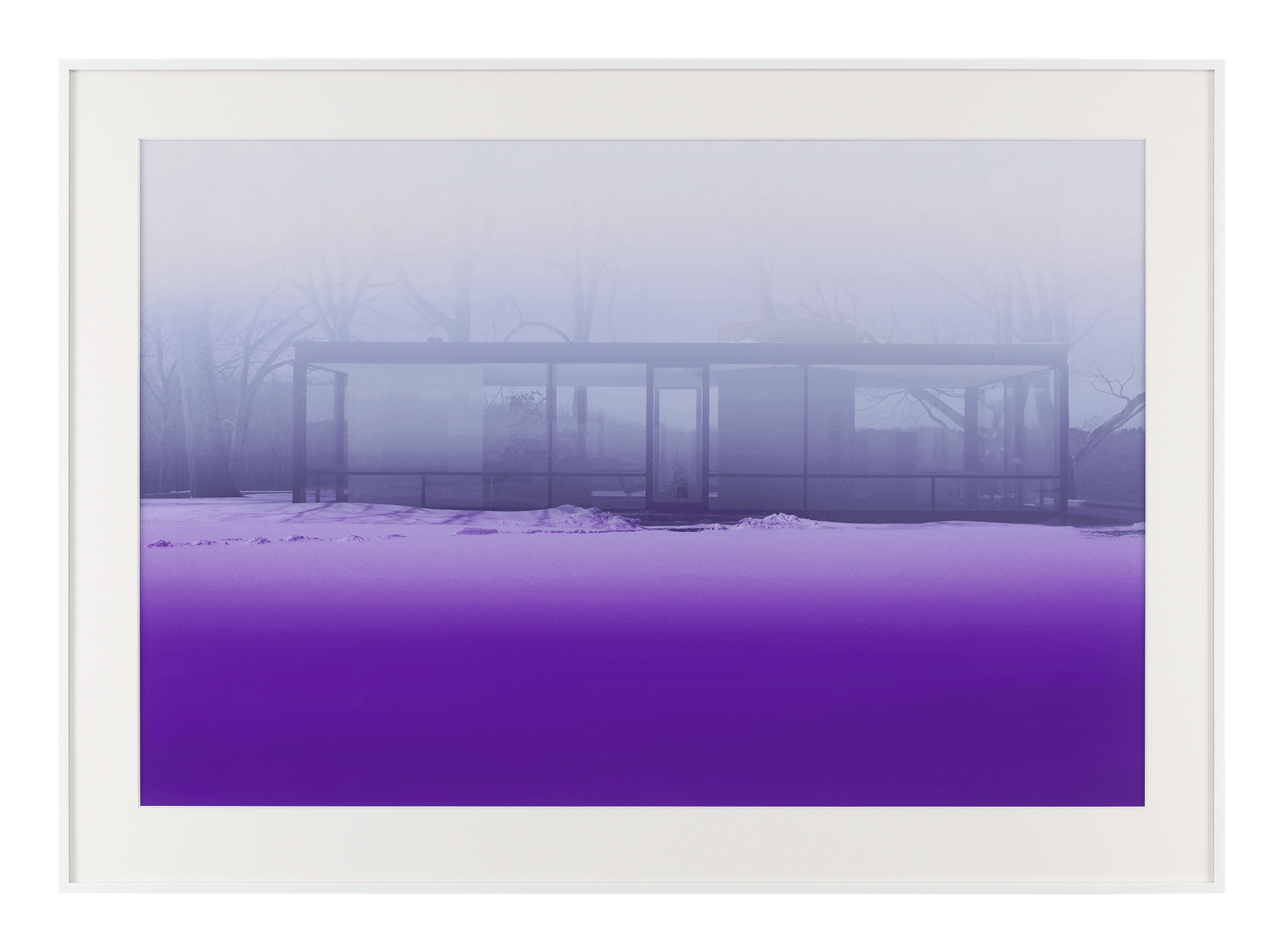 An inkjet print by James Welling, titled Lavender Mist, dated 2014.