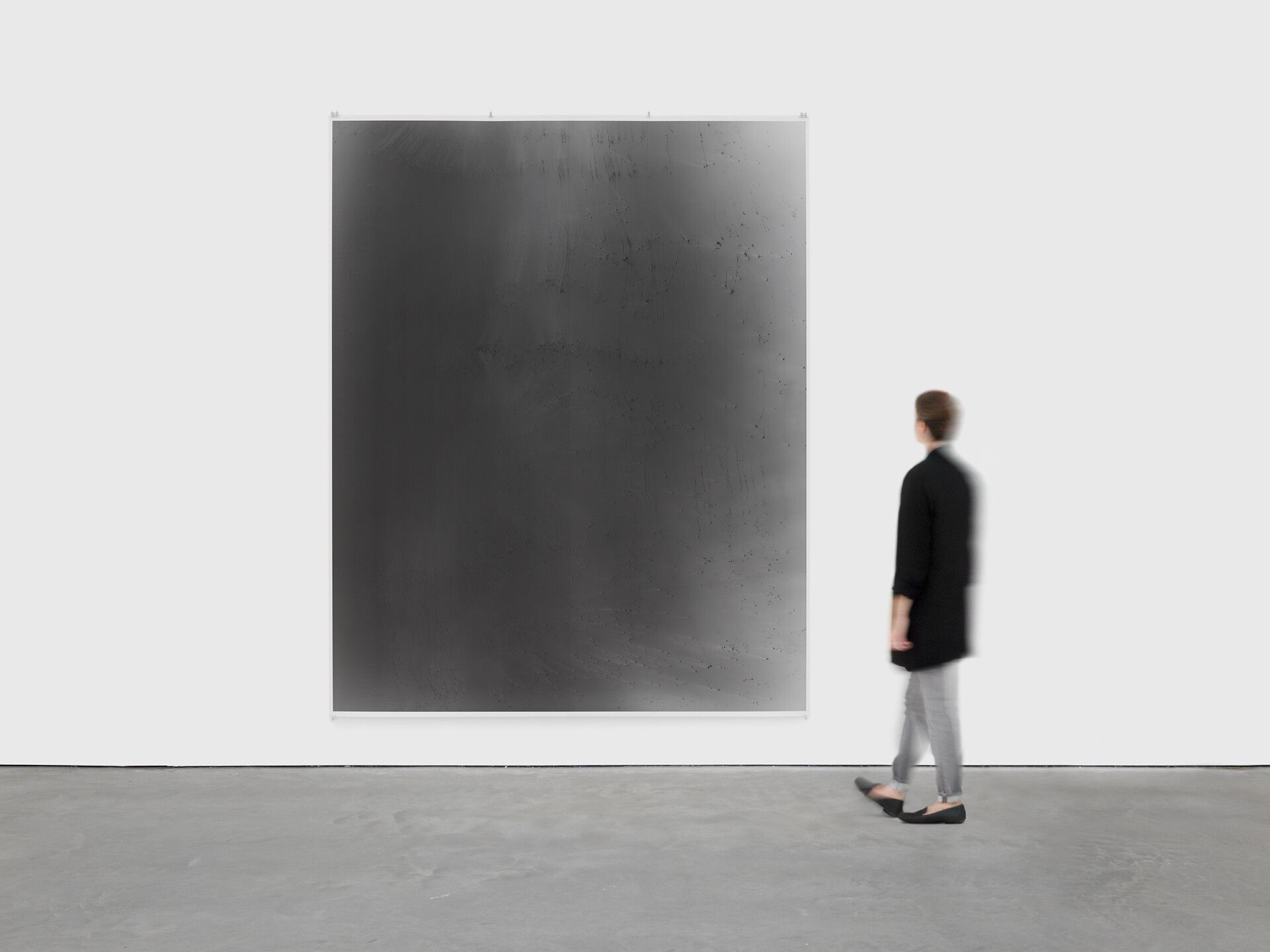 A scale image featuring a photograph by Wolfgang Tillmans, titled Blushes #76, dated 2000