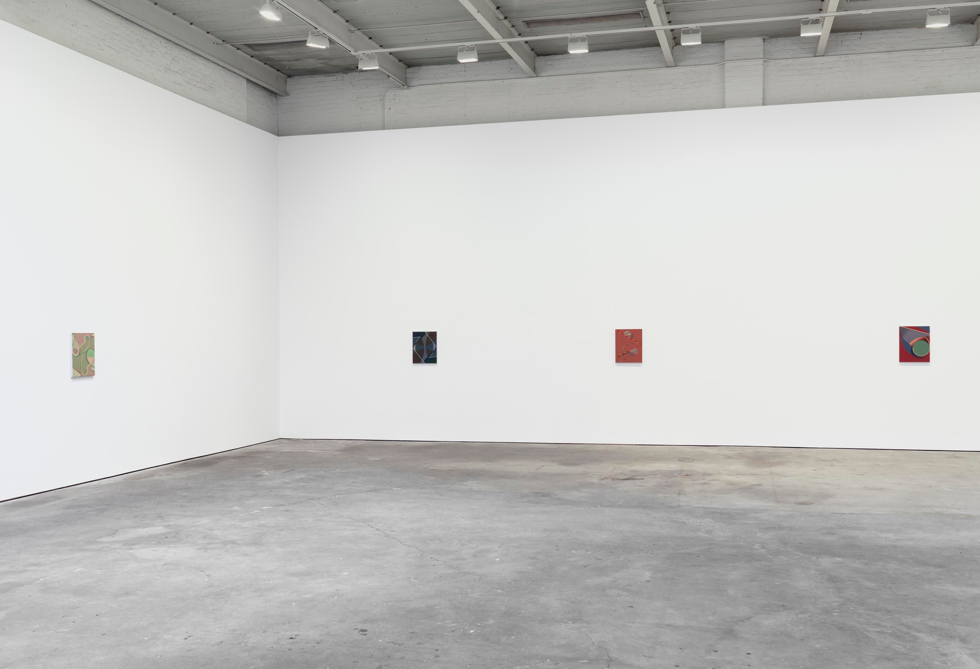 An installation view of the exhibition Tomma Abts, at David Zwirner New York, dated 2014.