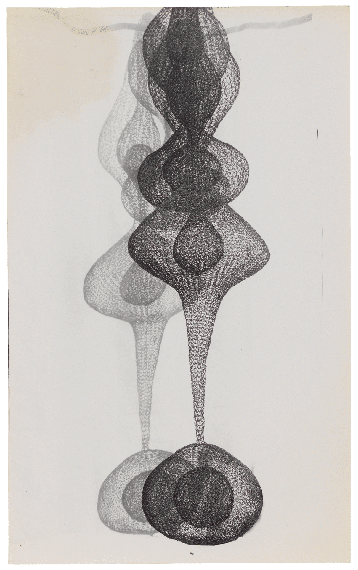 An untitled photograph by Imogen Cunningham, dated 1952.