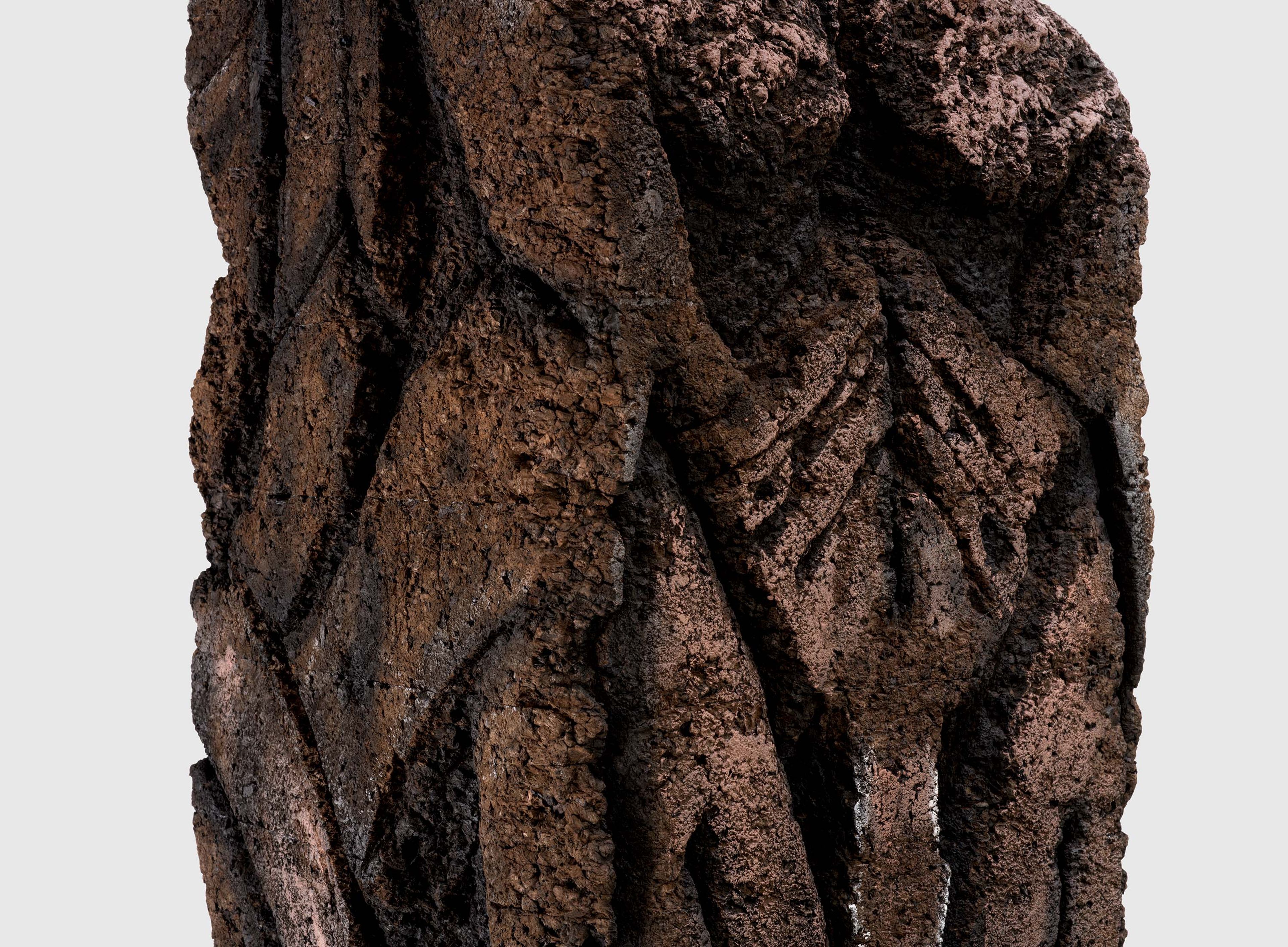 A detail from a sculpture by Huma Bhabha, titled Vincent, dated 2025.