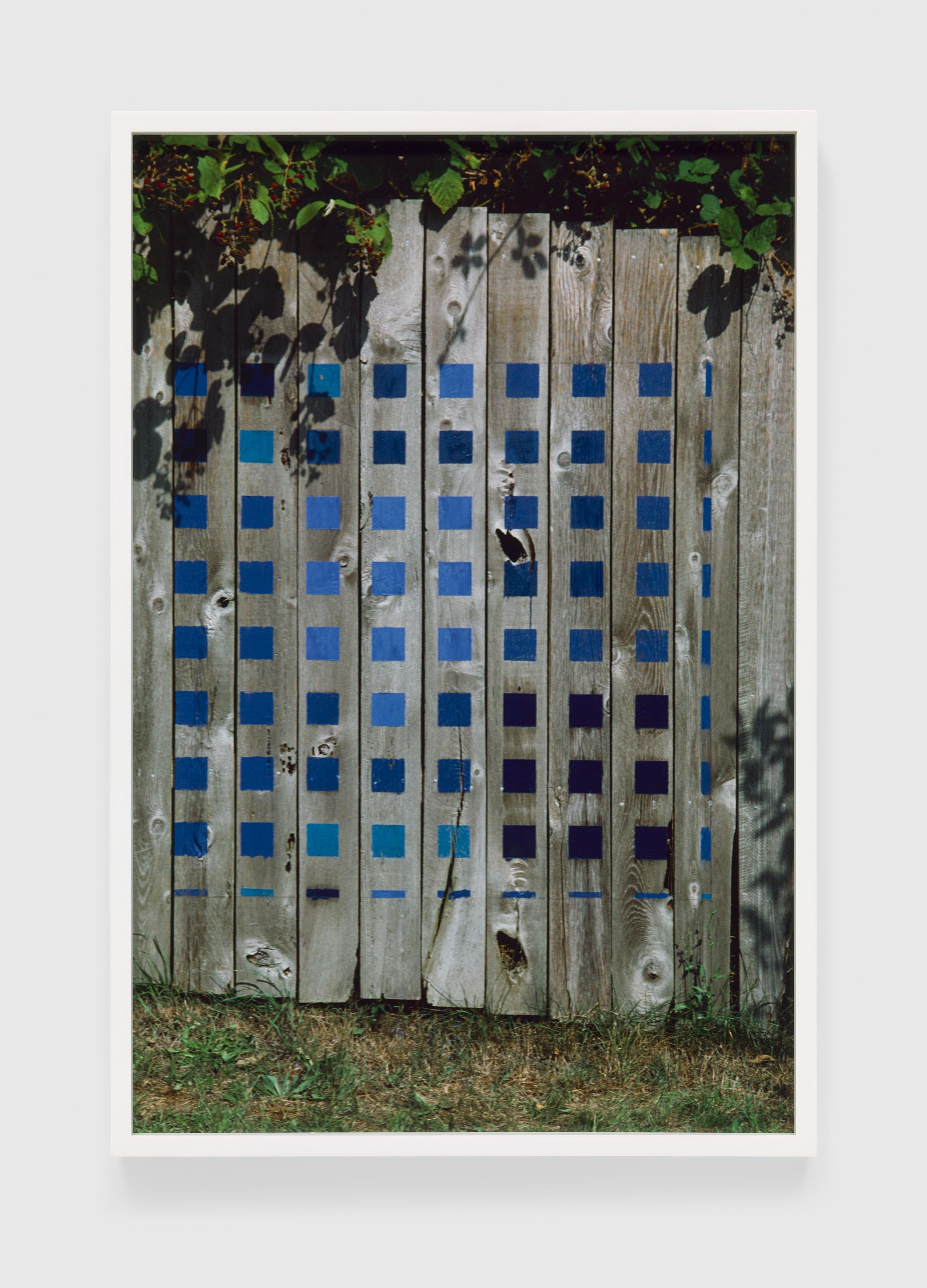 A photograph by Merrill Wagner, titled Blue, Summer Studio 1985-2003, dated 2017.