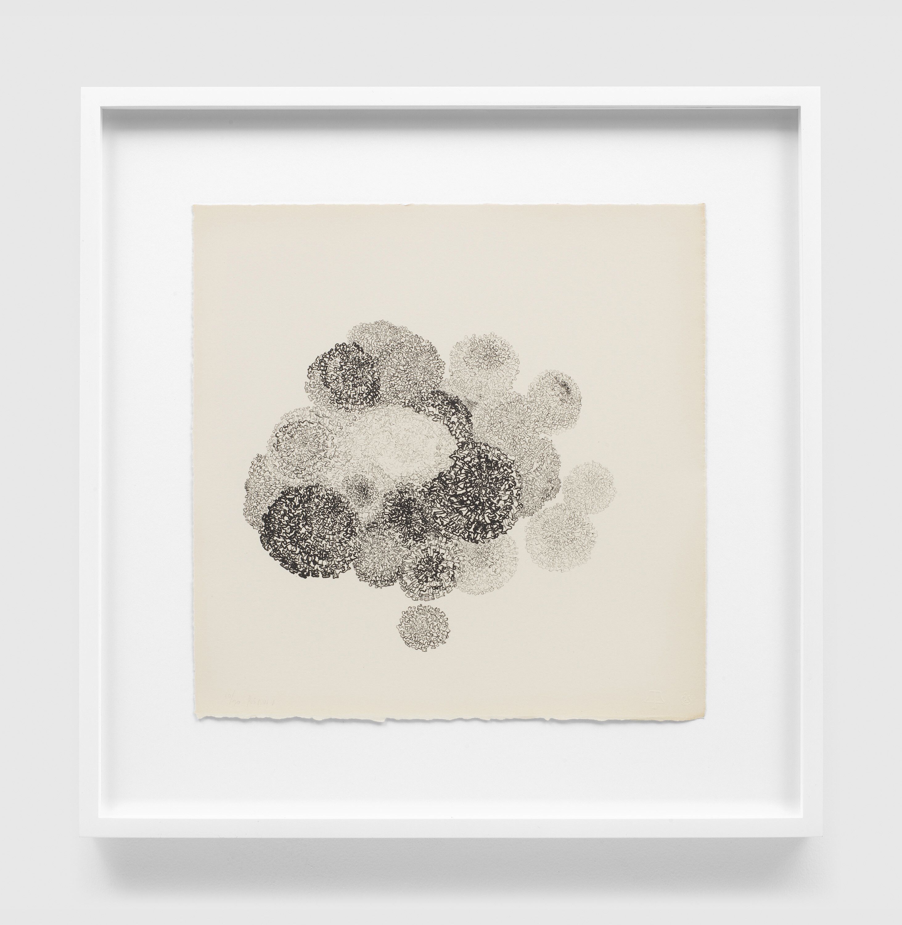 A print by Ruth Asawa, called Untitled (TAM.1483, Marigolds, from the Portfolio Flowers), dated 1965.