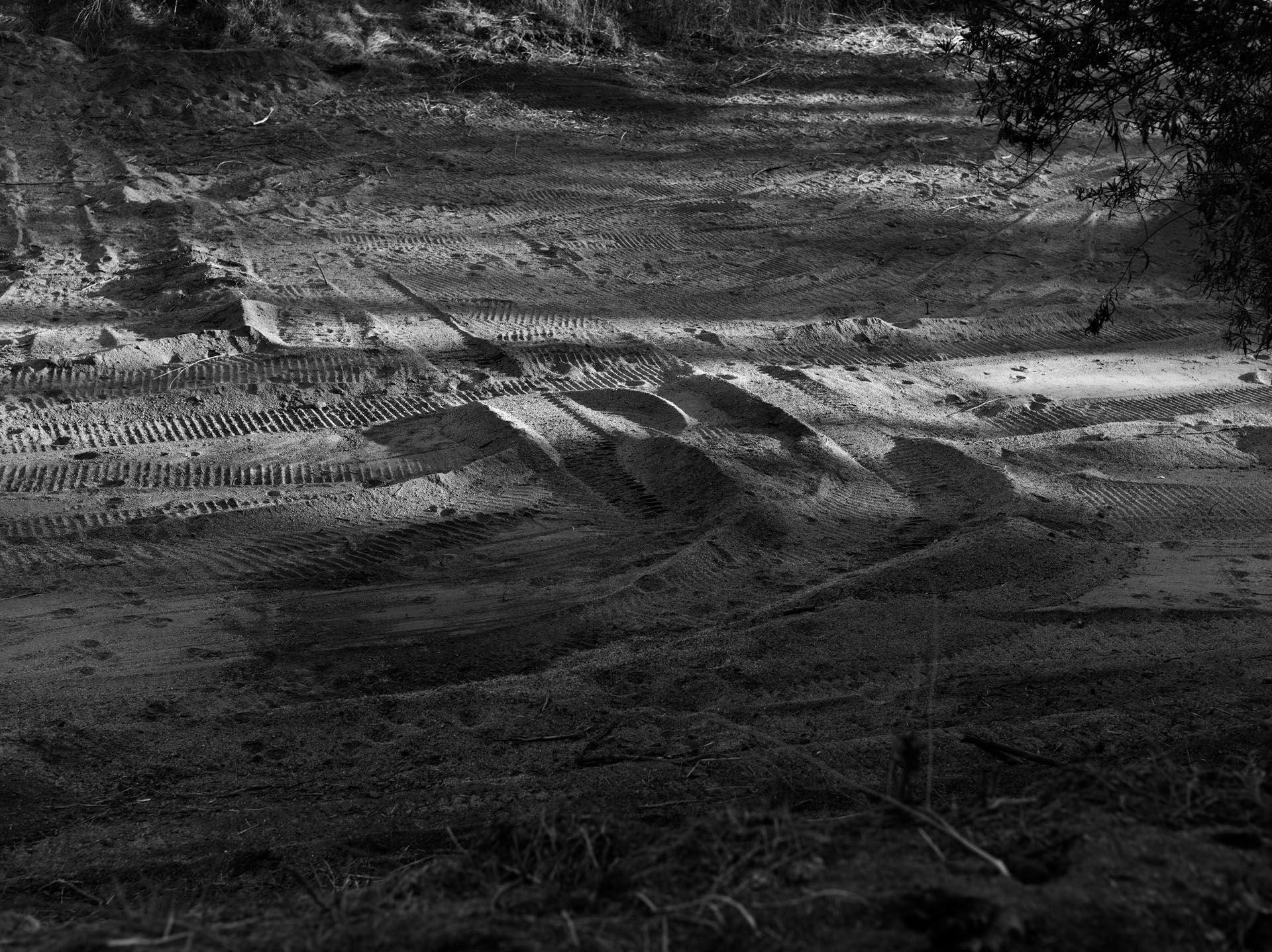 An inkjet print by Dannielle Bowman titled Tracks, dated 2017