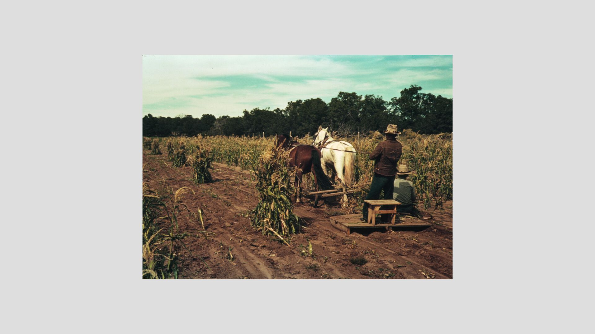 A photograph by Russell Lee from his Pie Town series, dated 1939.