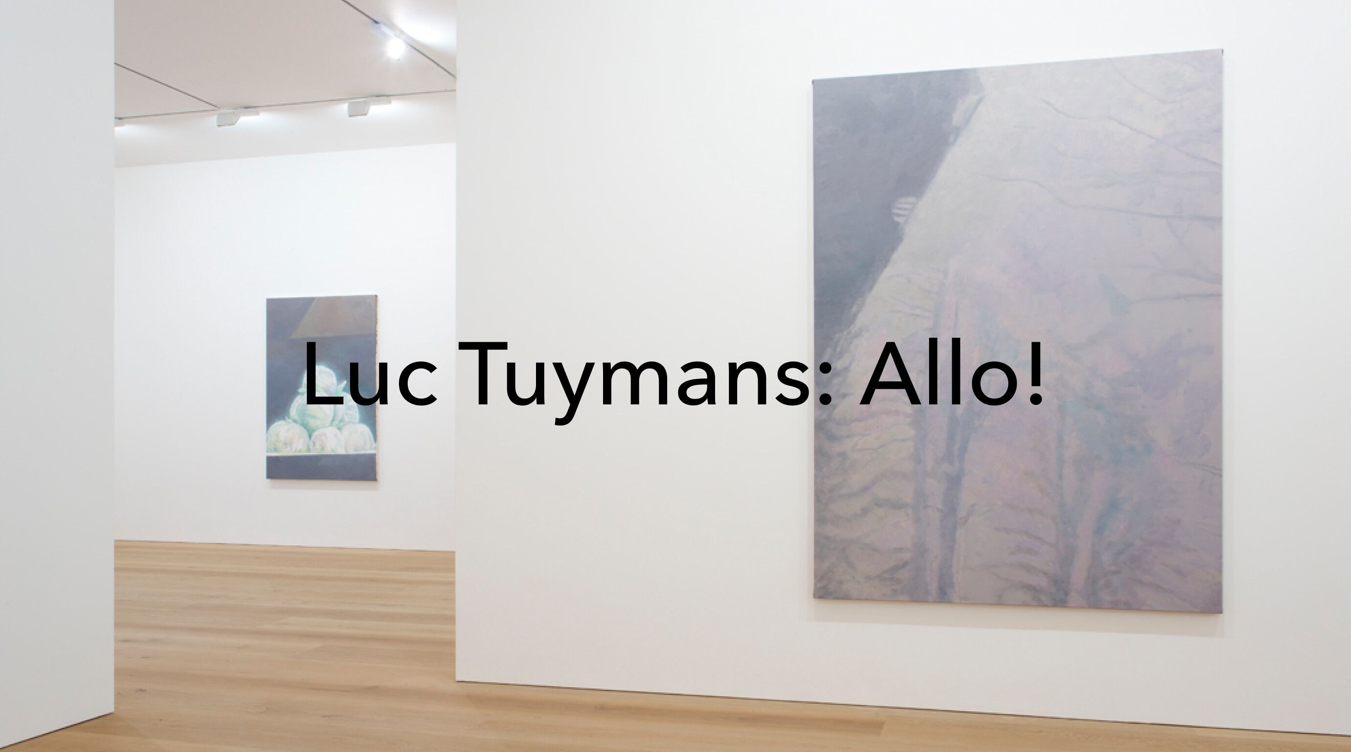 An image CTA with the following text overlay Luc Tuymans: Allo!