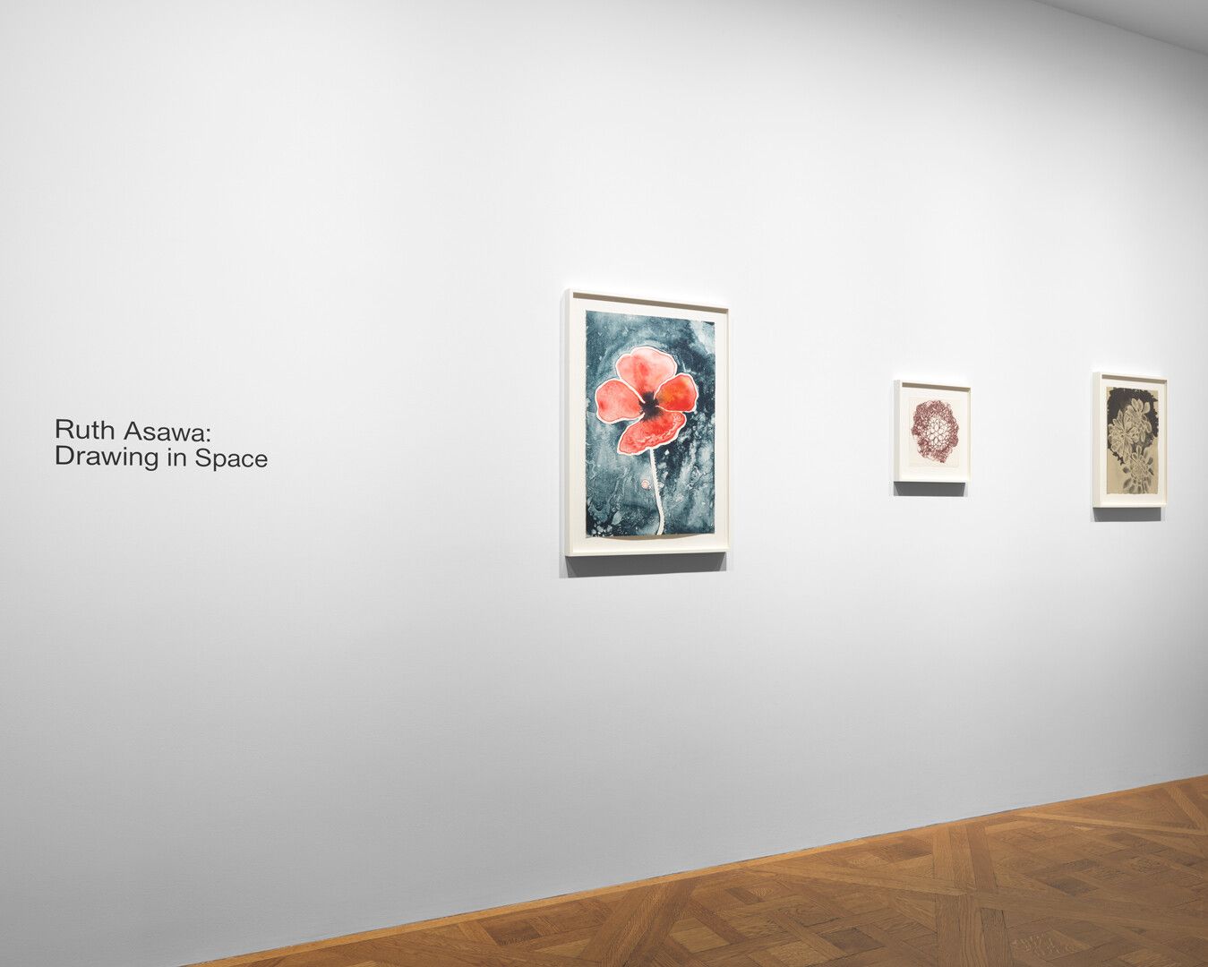 An installation view of the exhibition Ruth Asawa: Drawing in Space, at David Zwirner in New York, 2020.