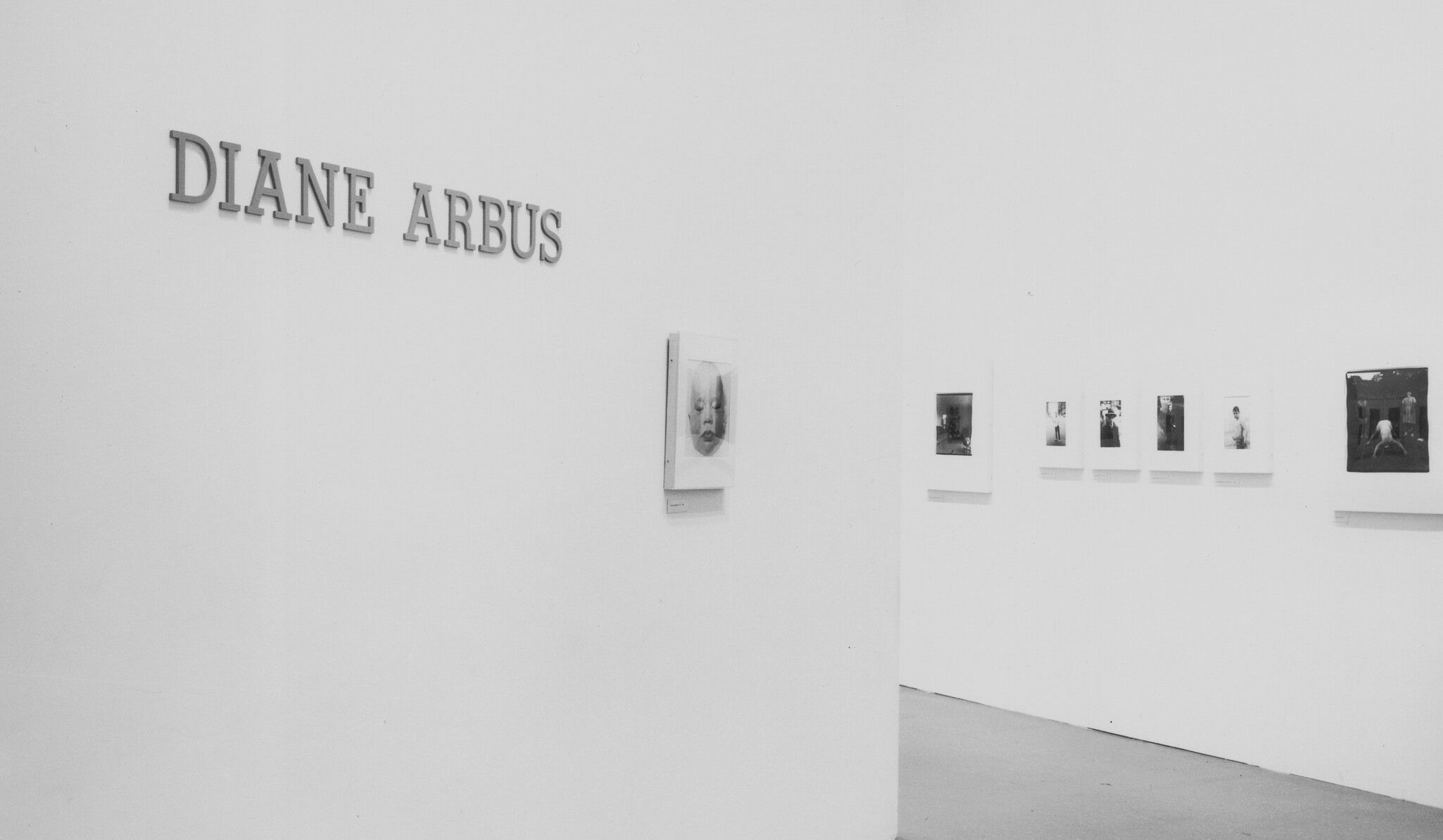 An installation view, Diane Arbus, Museum of Modern Art, New York, dated1972